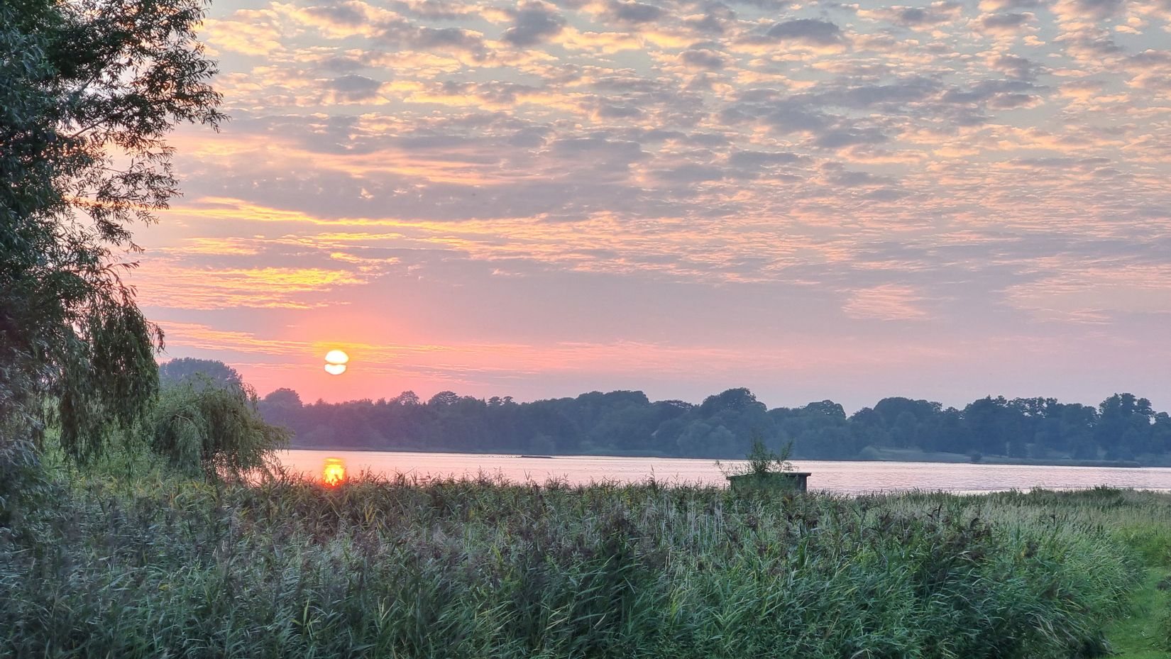 Tomt, Svenstorp 534, Skurup