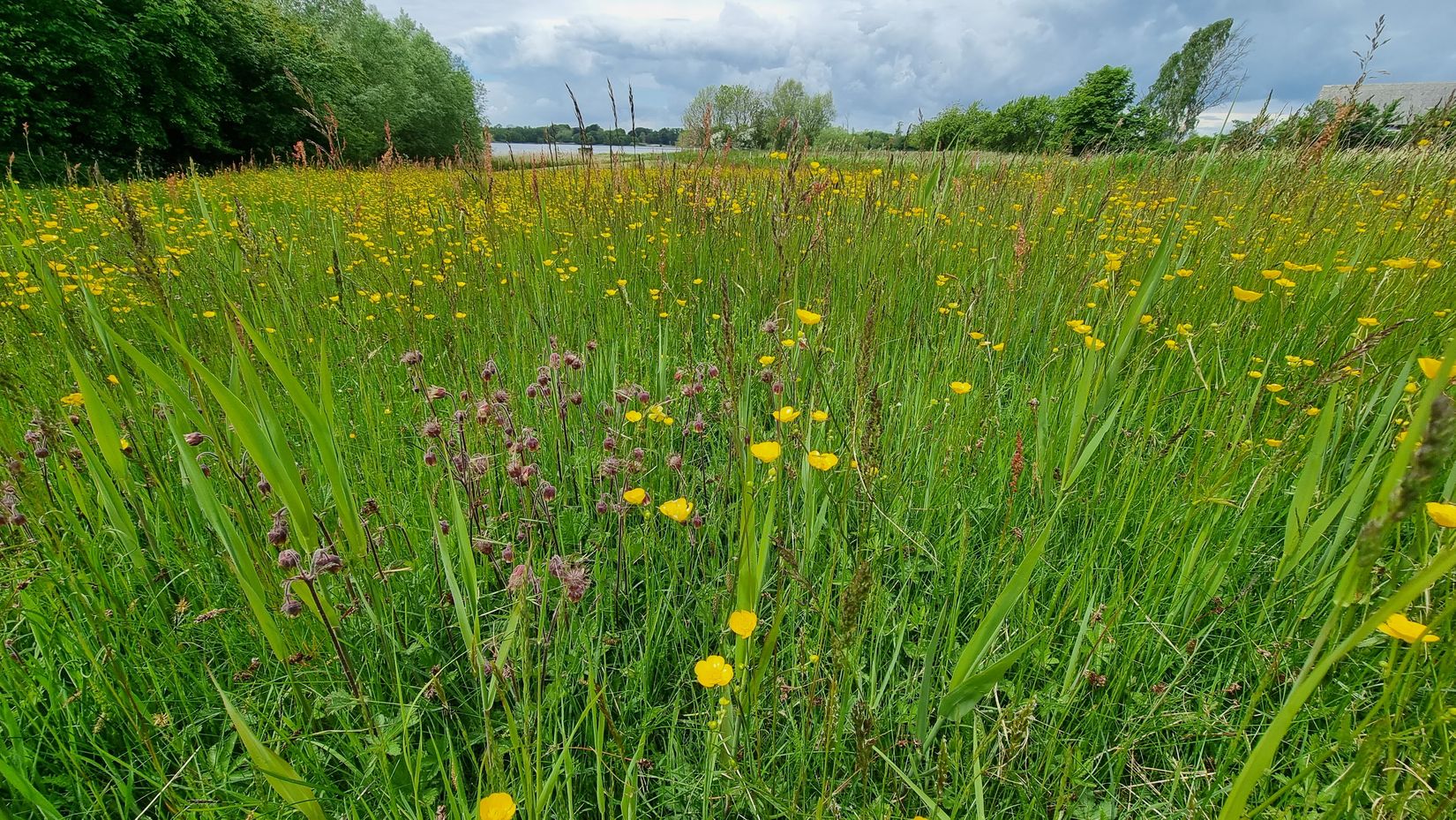 Tomt, Svenstorp 534, Skurup