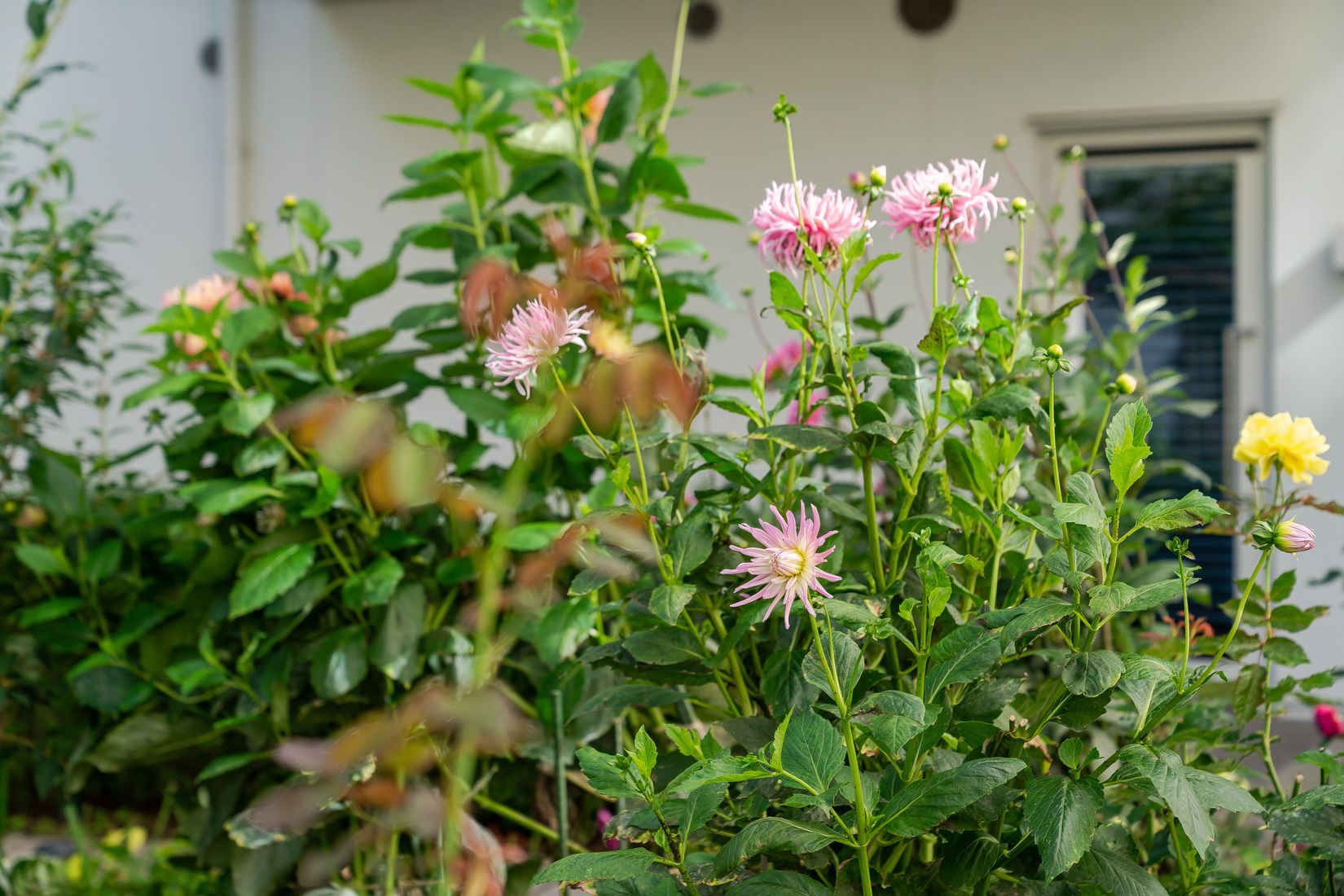 Bostadsrätt, Smugglargränd 3, Oceanhamnen, Helsingborg