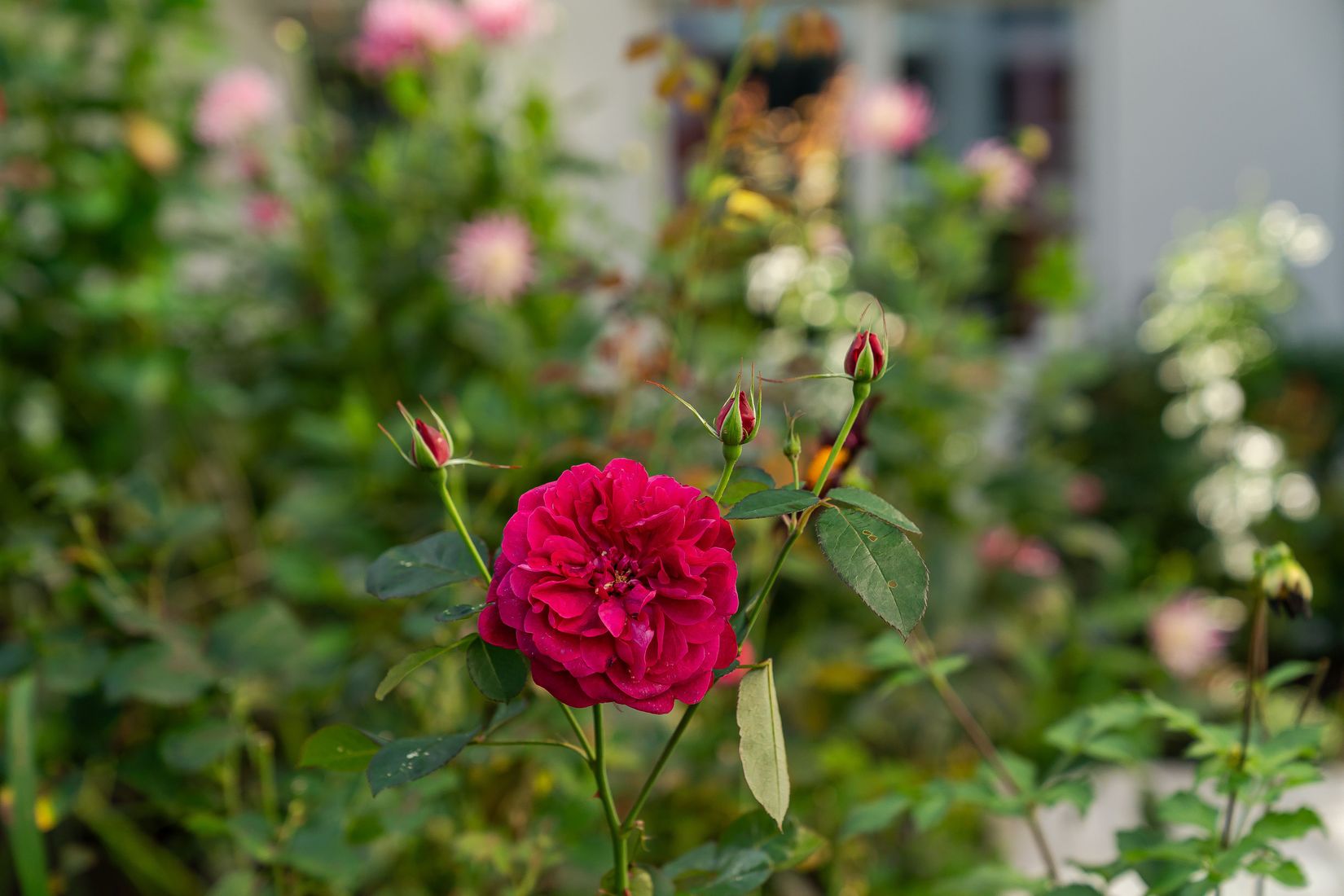 Bostadsrätt, Smugglargränd 3, Oceanhamnen, Helsingborg