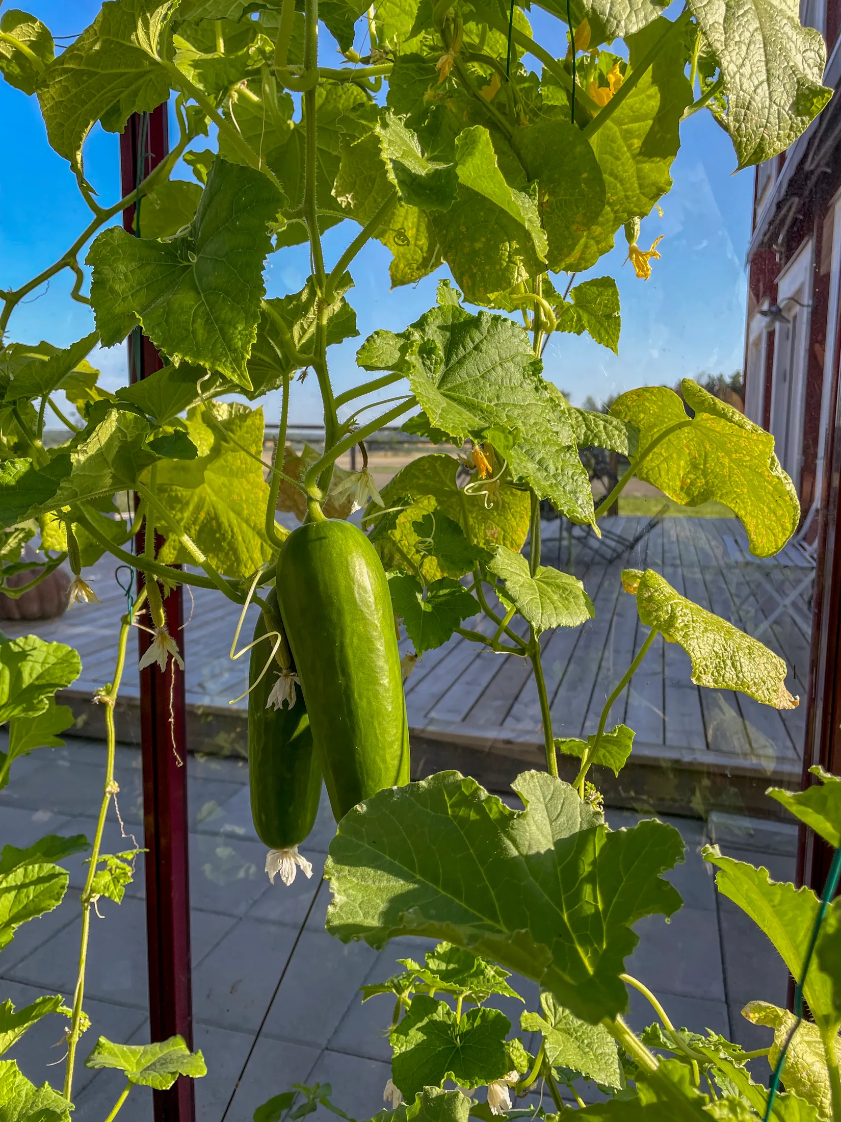 Villa, Venngarn 286, Wenngarn, Sigtuna
