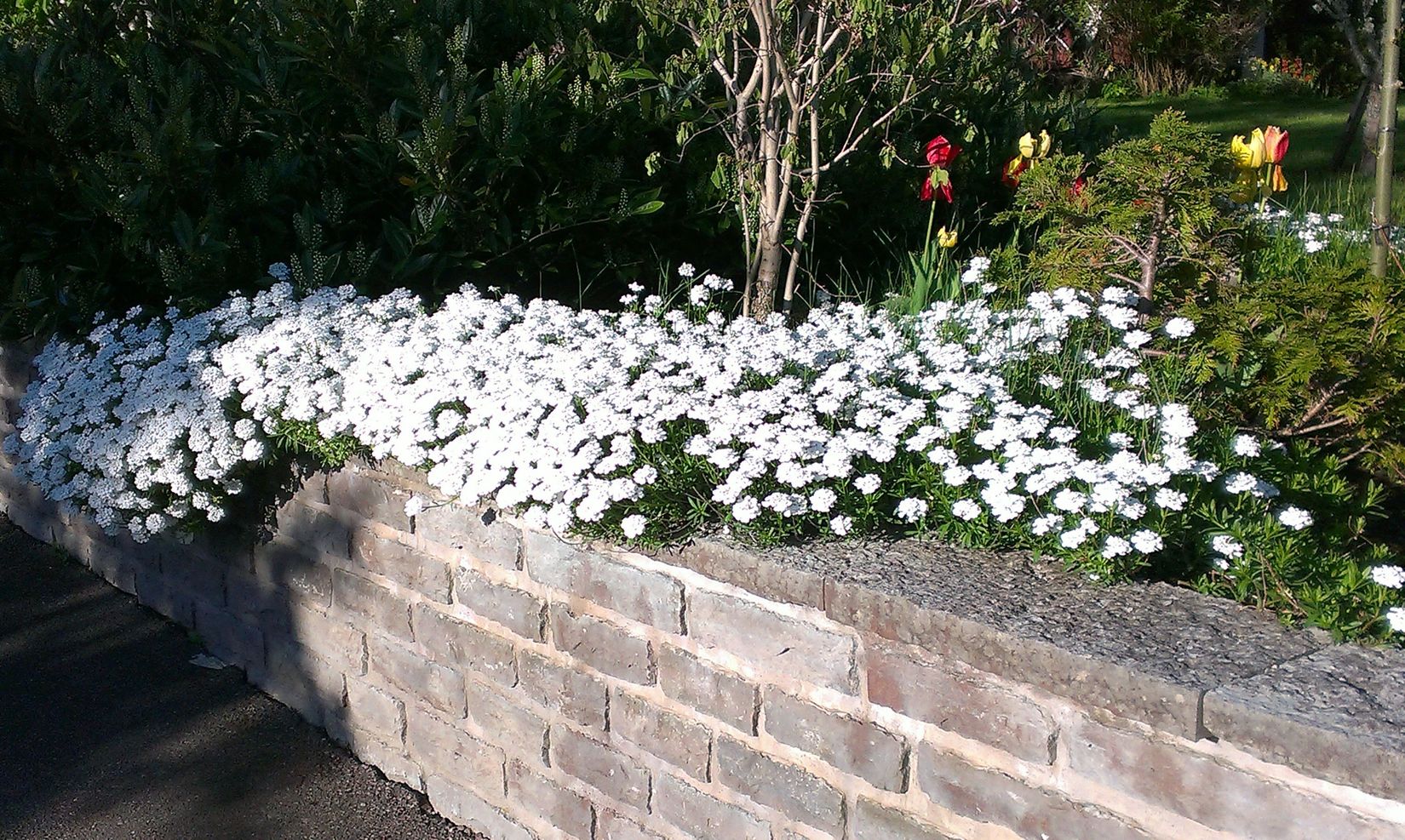 Villa, Tyrgatan 3, Figeholm, Oskarshamn