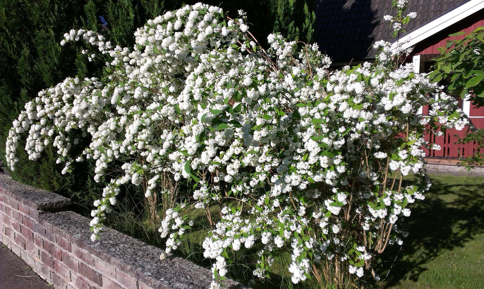 Villa, Tyrgatan 3, Figeholm, Oskarshamn