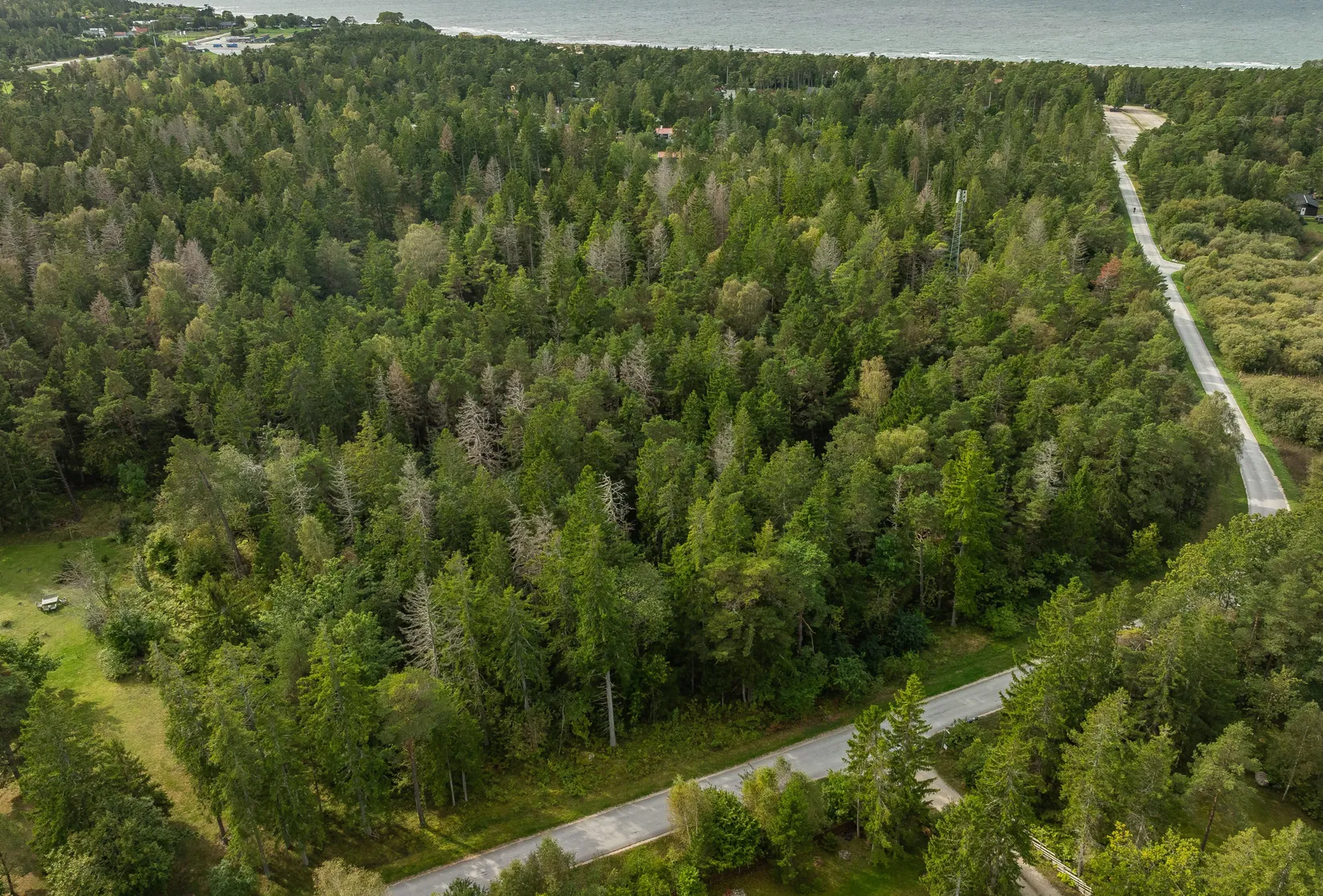 Gård/Skog, SKOGSFASTIGHET I TOFTA, Tofta, Gotland