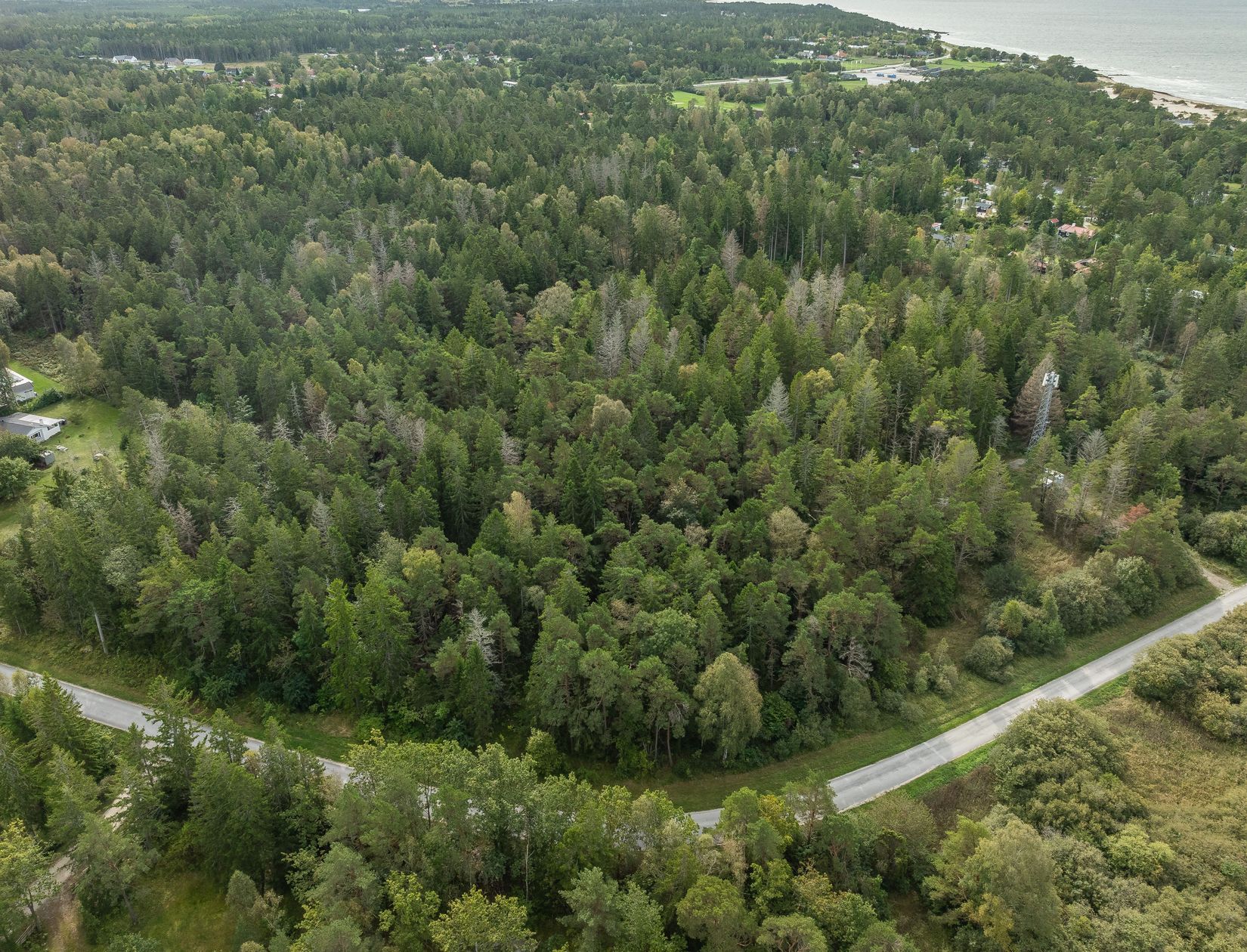 Gård/Skog, SKOGSFASTIGHET I TOFTA, Tofta, Gotland