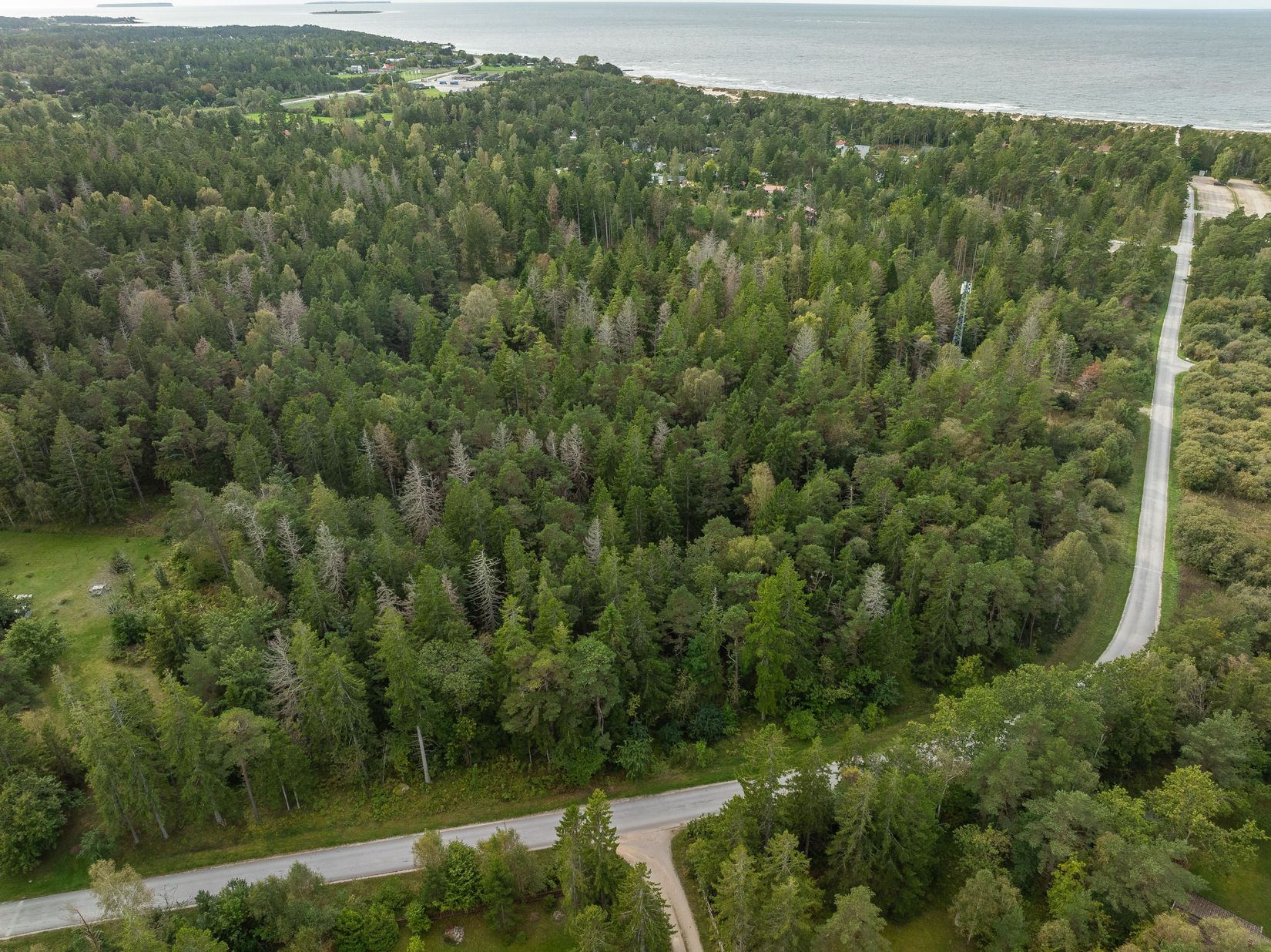 Gård/Skog, SKOGSFASTIGHET I TOFTA, Tofta, Gotland