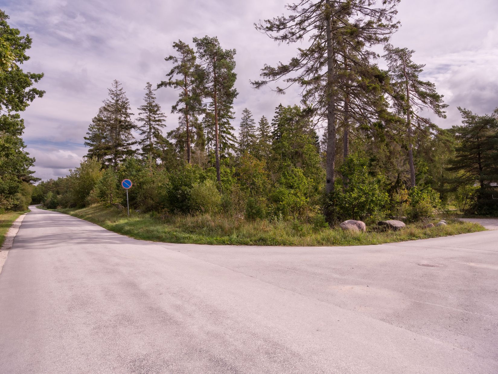 Gård/Skog, SKOGSFASTIGHET I TOFTA, Tofta, Gotland