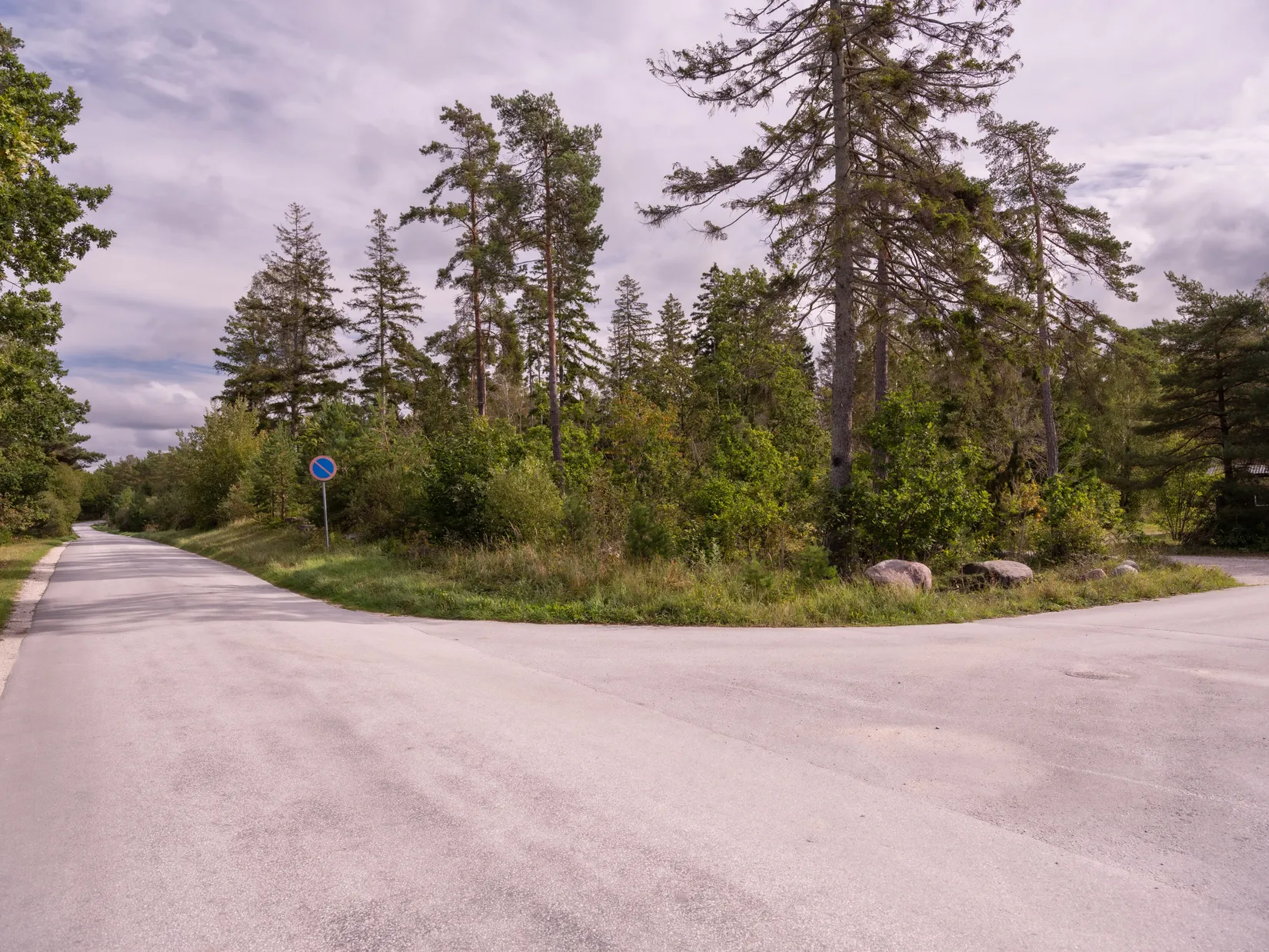 Gård/Skog, SKOGSFASTIGHET I TOFTA, Tofta, Gotland