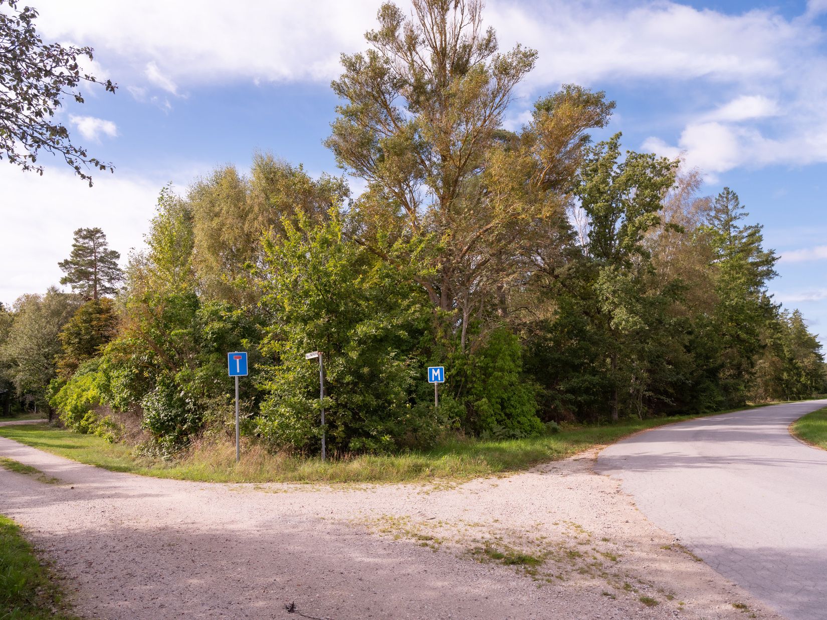 Gård/Skog, SKOGSFASTIGHET I TOFTA, Tofta, Gotland