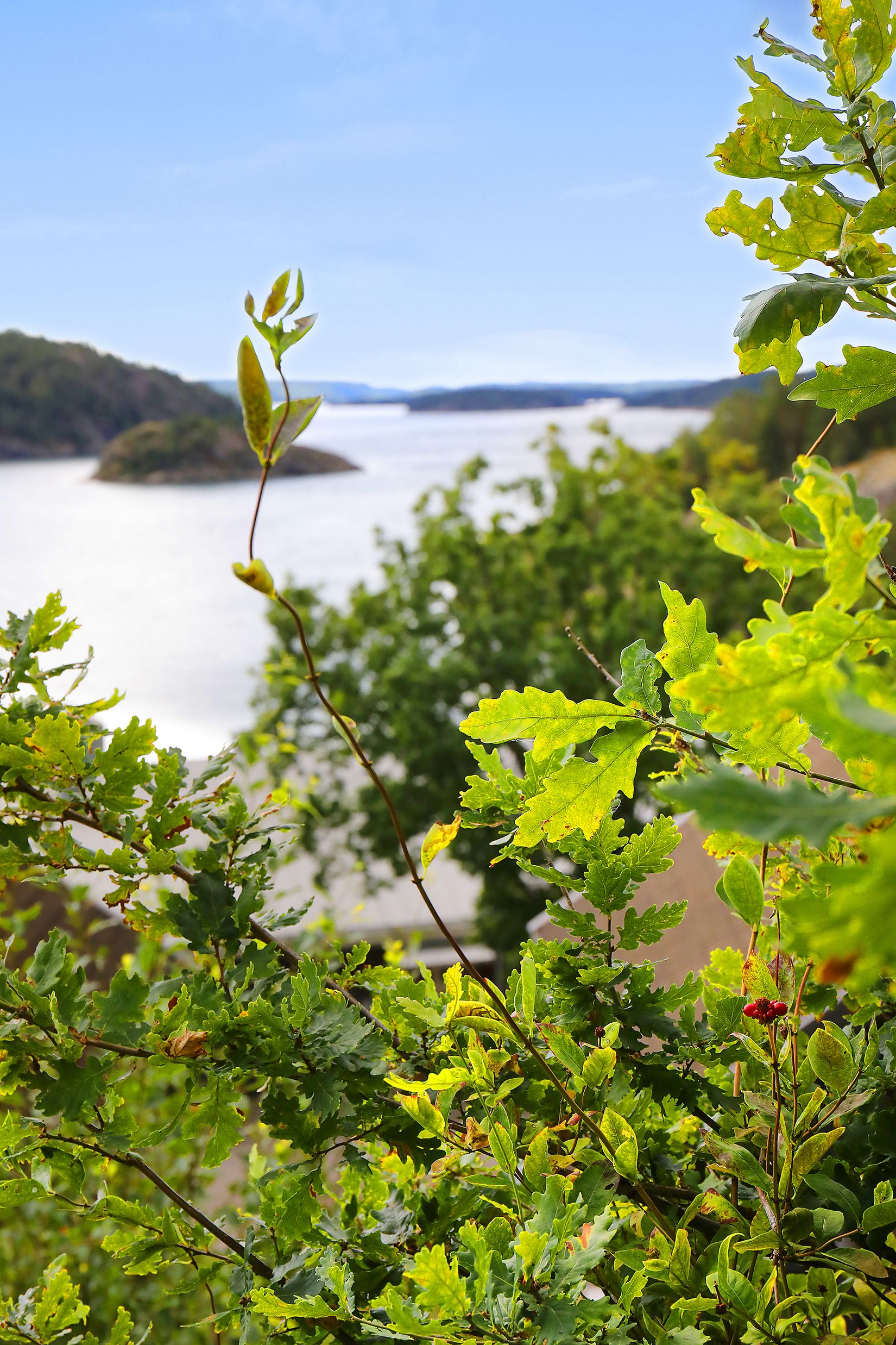 Bostadsrätt, Bjällansås 335C, Uddevalla