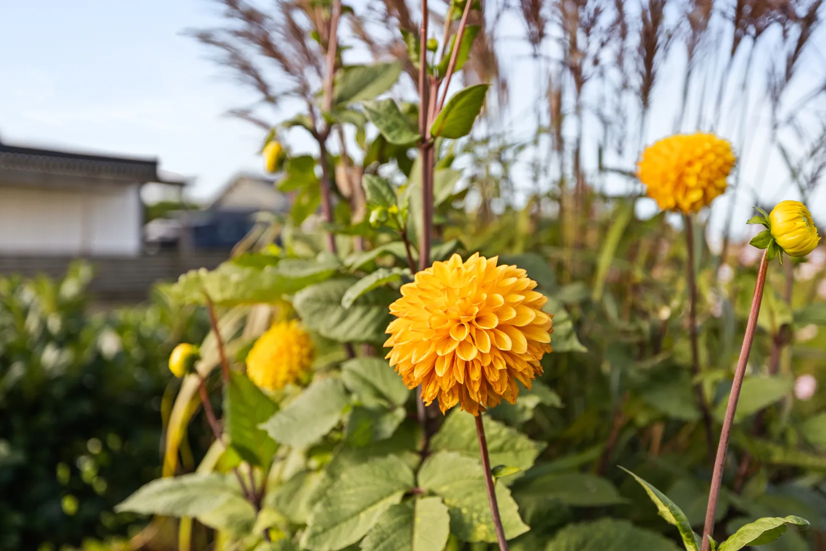 Villa, Romangatan 28, Svarte, Ystad