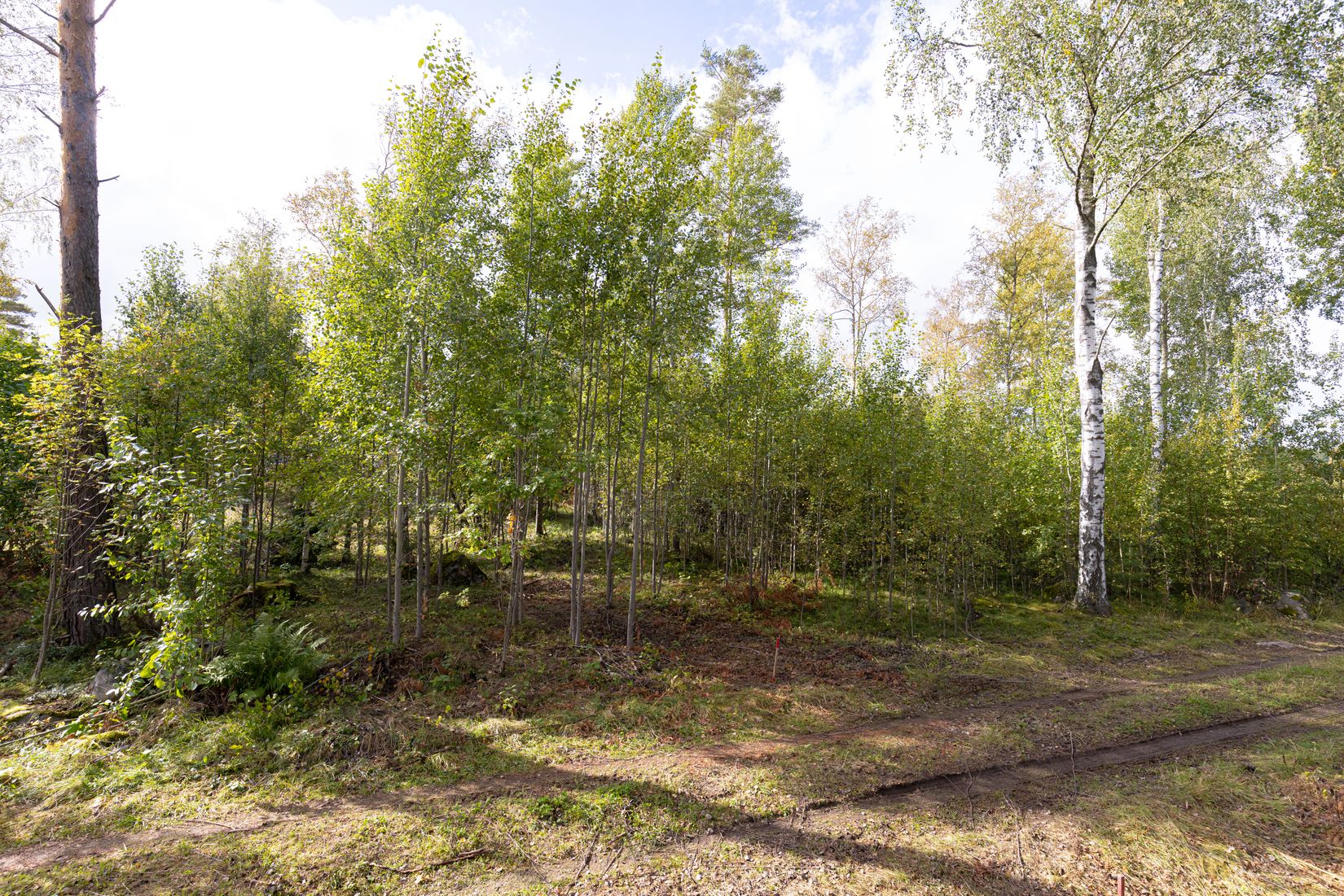 Tomt, Vretvägen (4:27), Uppsala