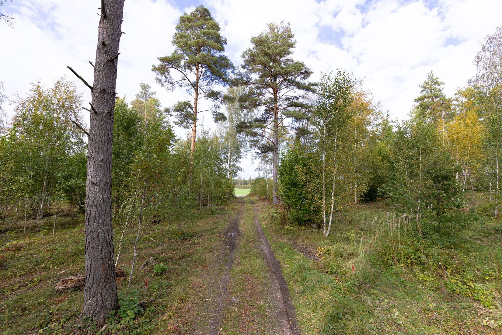 Tomt, Vretvägen (4:27), Uppsala