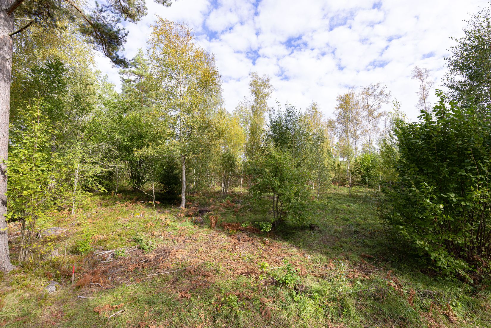 Tomt, Vretvägen (4:27), Uppsala