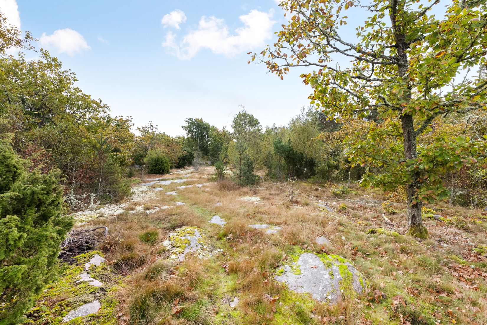 Tomt, Mossevägen 19A, Aspö, Karlskrona