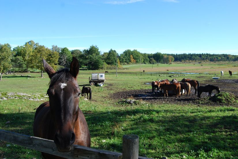 Bostadsrätt, Månadsvägen 67, Jakobsberg, Järfälla
