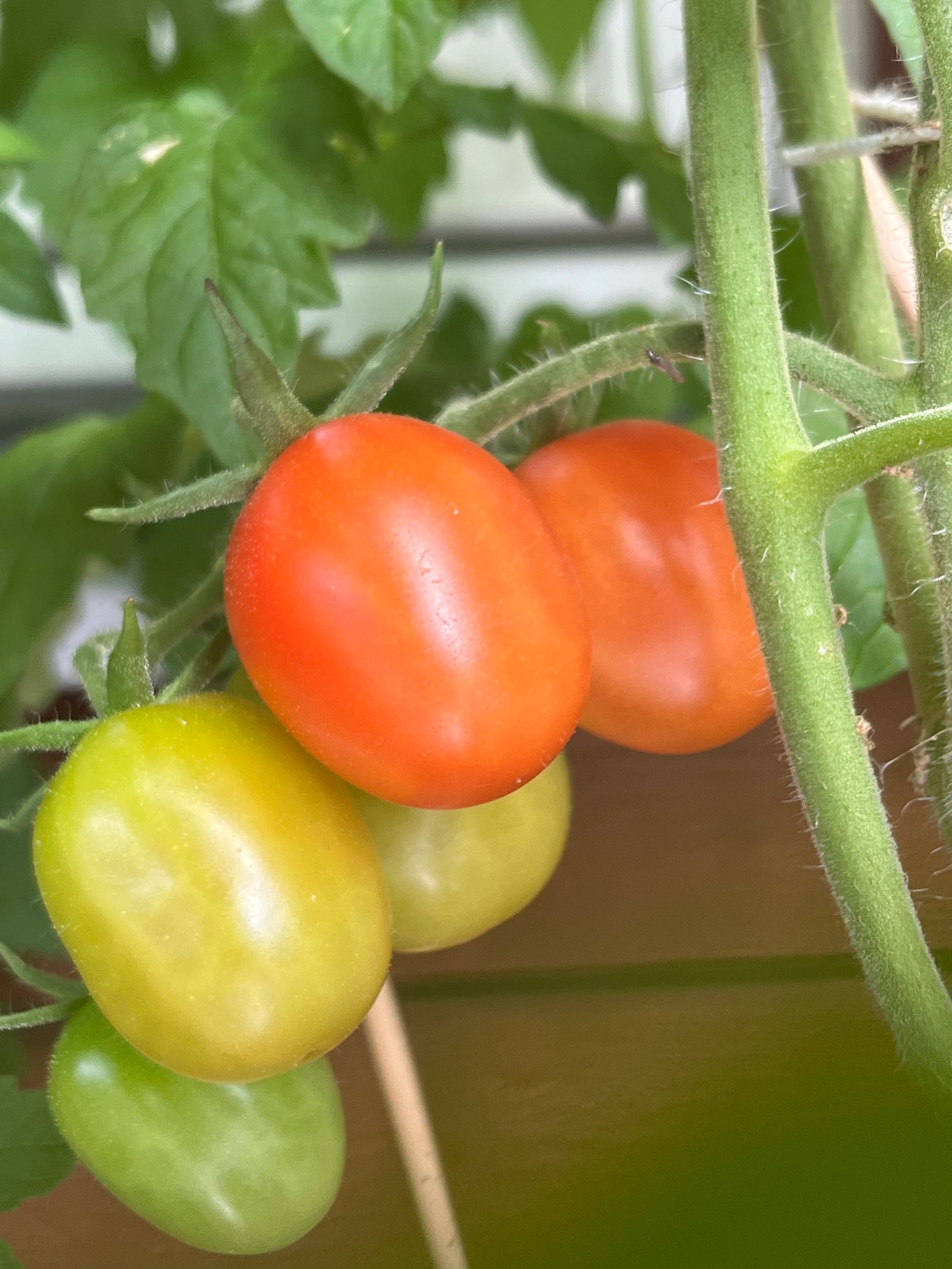 Bostadsrätt, Porfyrvägen 31, Kolla Parkstad, Kungsbacka