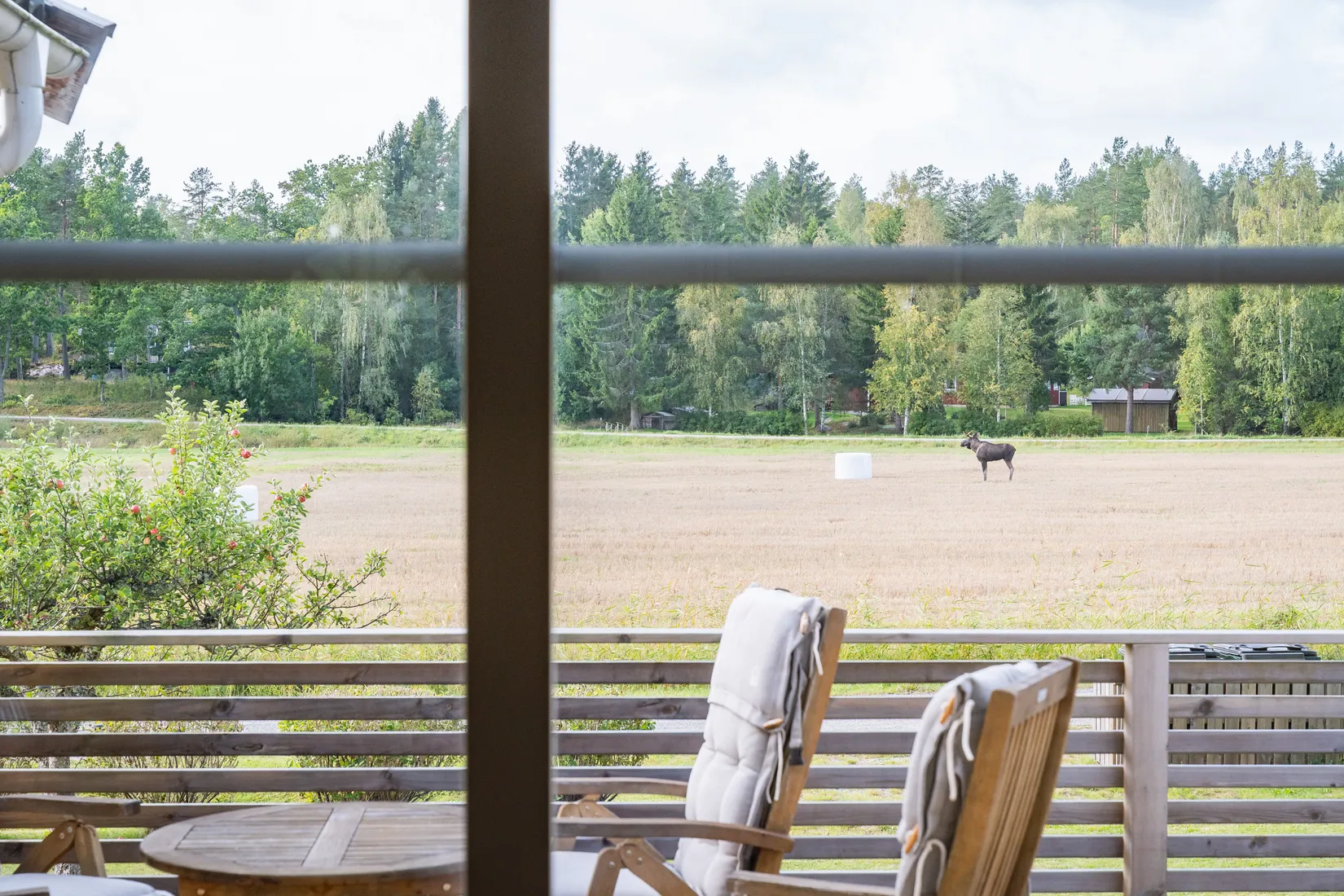 Fritidshus, Hästhagsvägen 11, Ramsdal, Söderköping