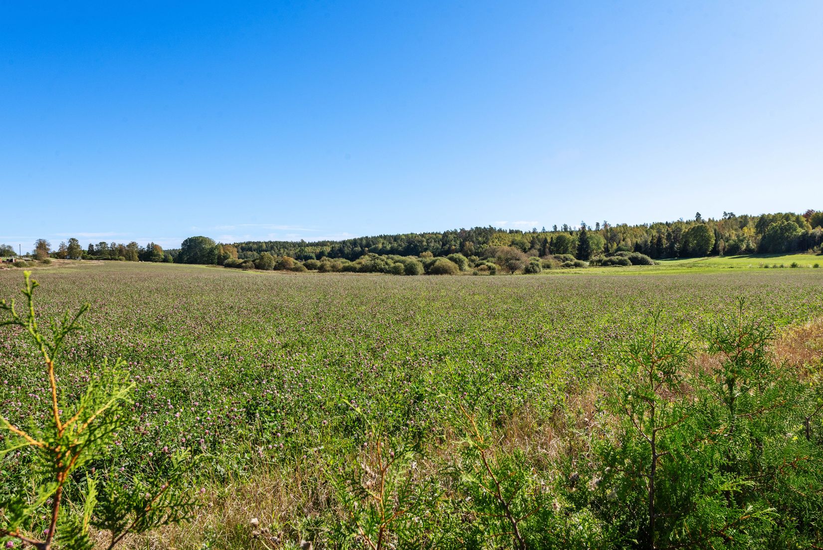 Fritidshus, Fjällnäs 1, Rimbo, Norrtälje