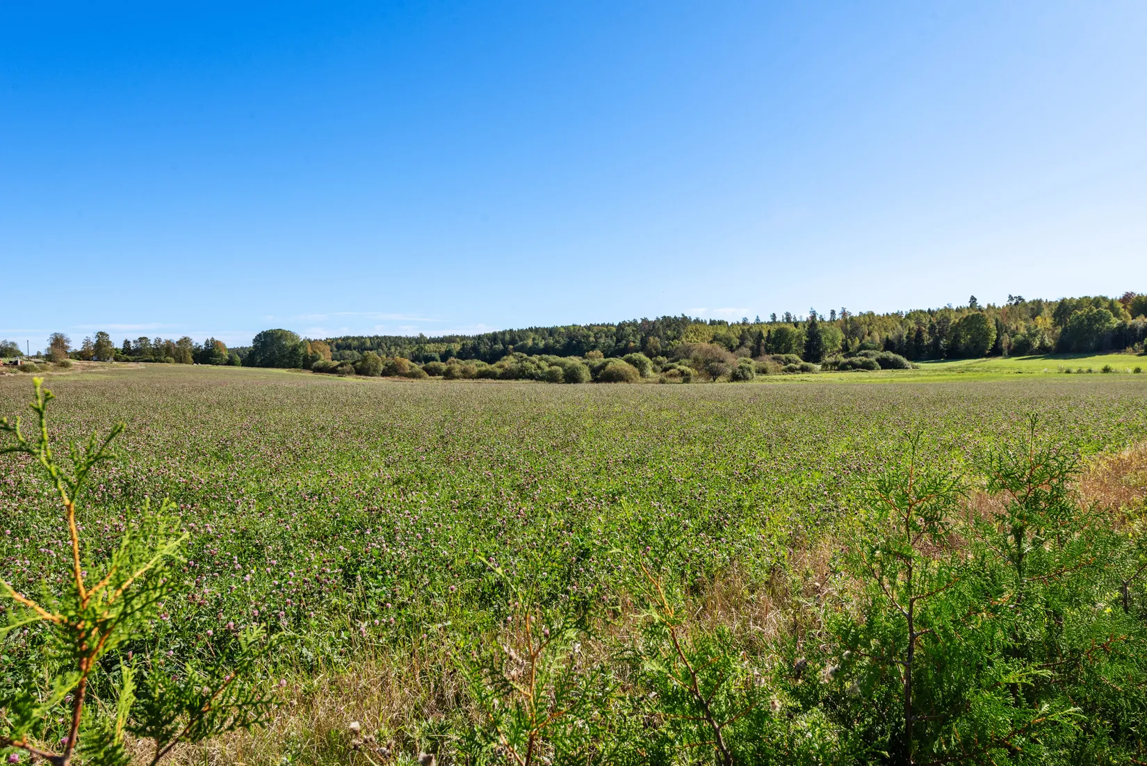 Fritidshus, Fjällnäs 1, Rimbo, Norrtälje