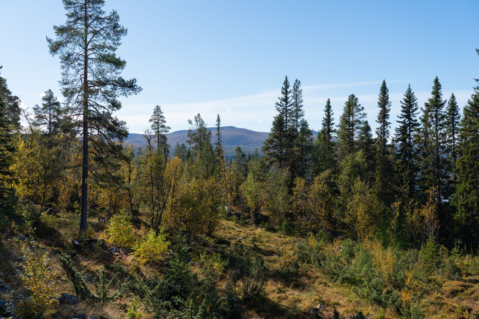 Fritidshus, Hovärken H 24, Härjedalen