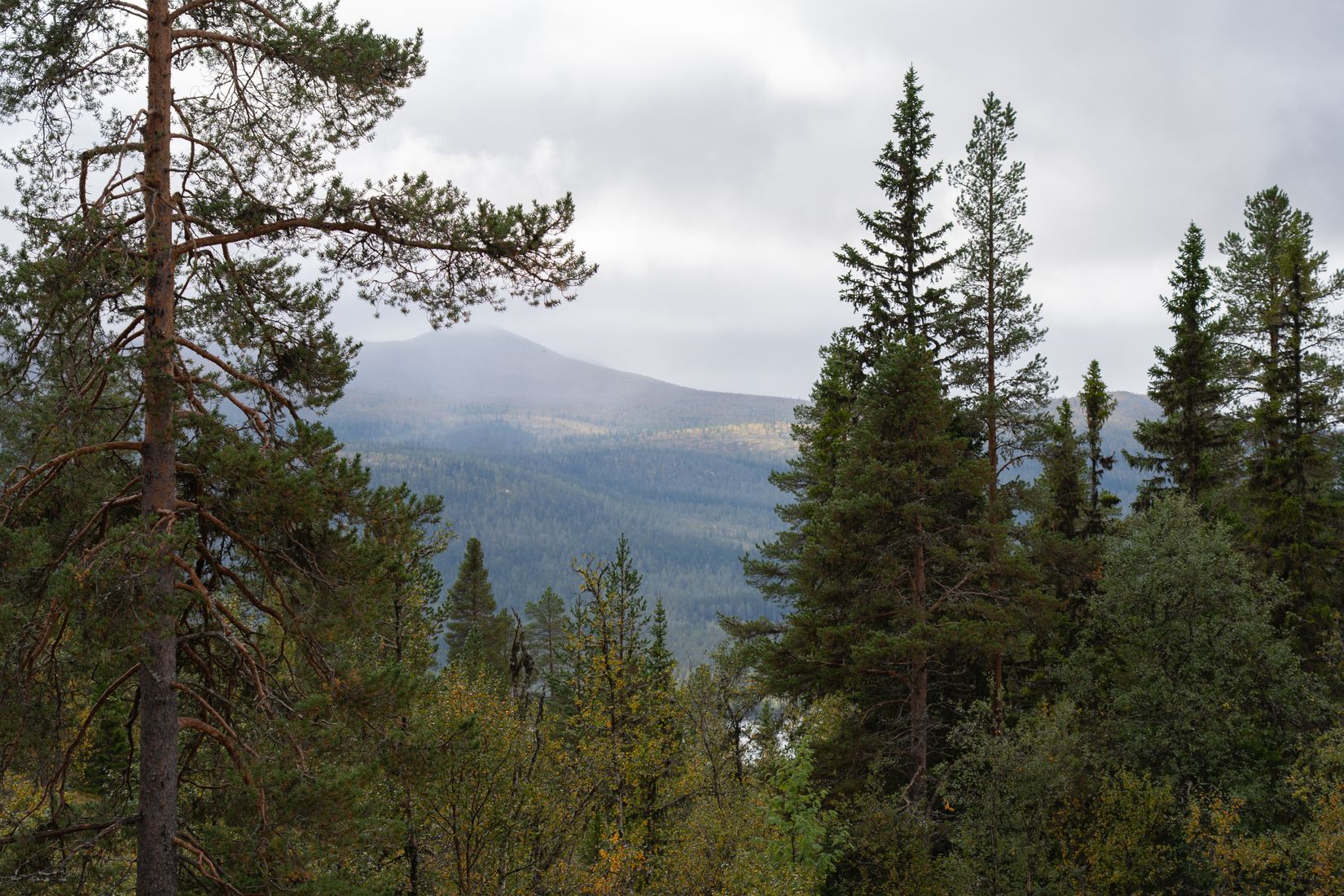 Fritidshus, Hovärken H 24, Härjedalen