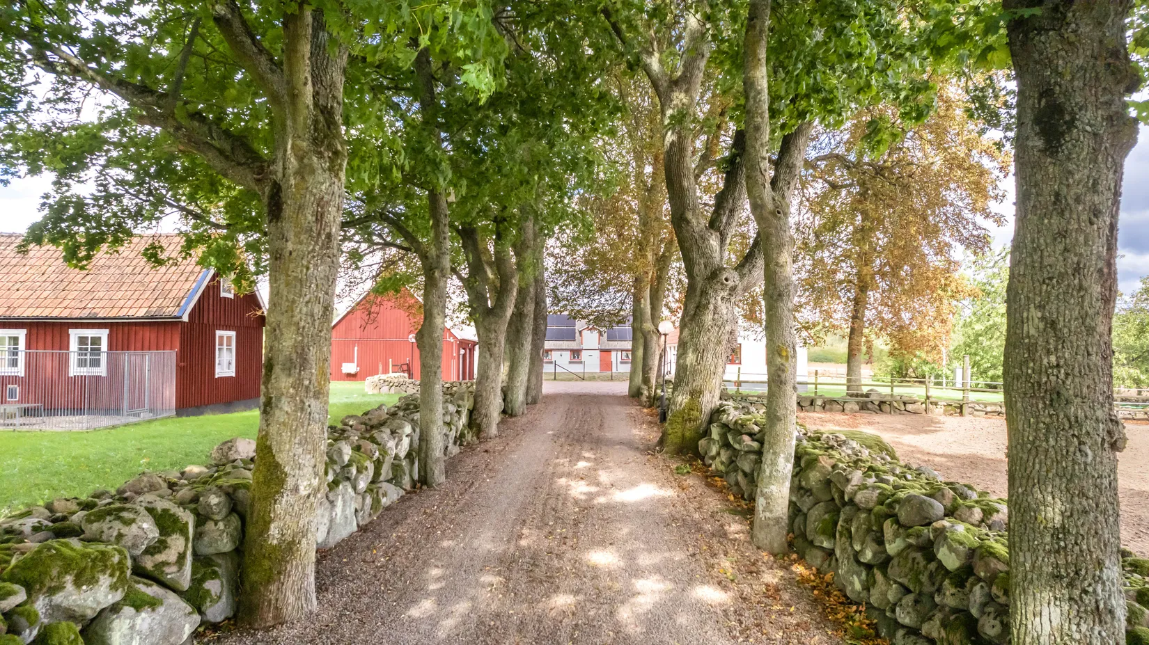 Villa, Hallarödsvägen 24, Vä, Kristianstad