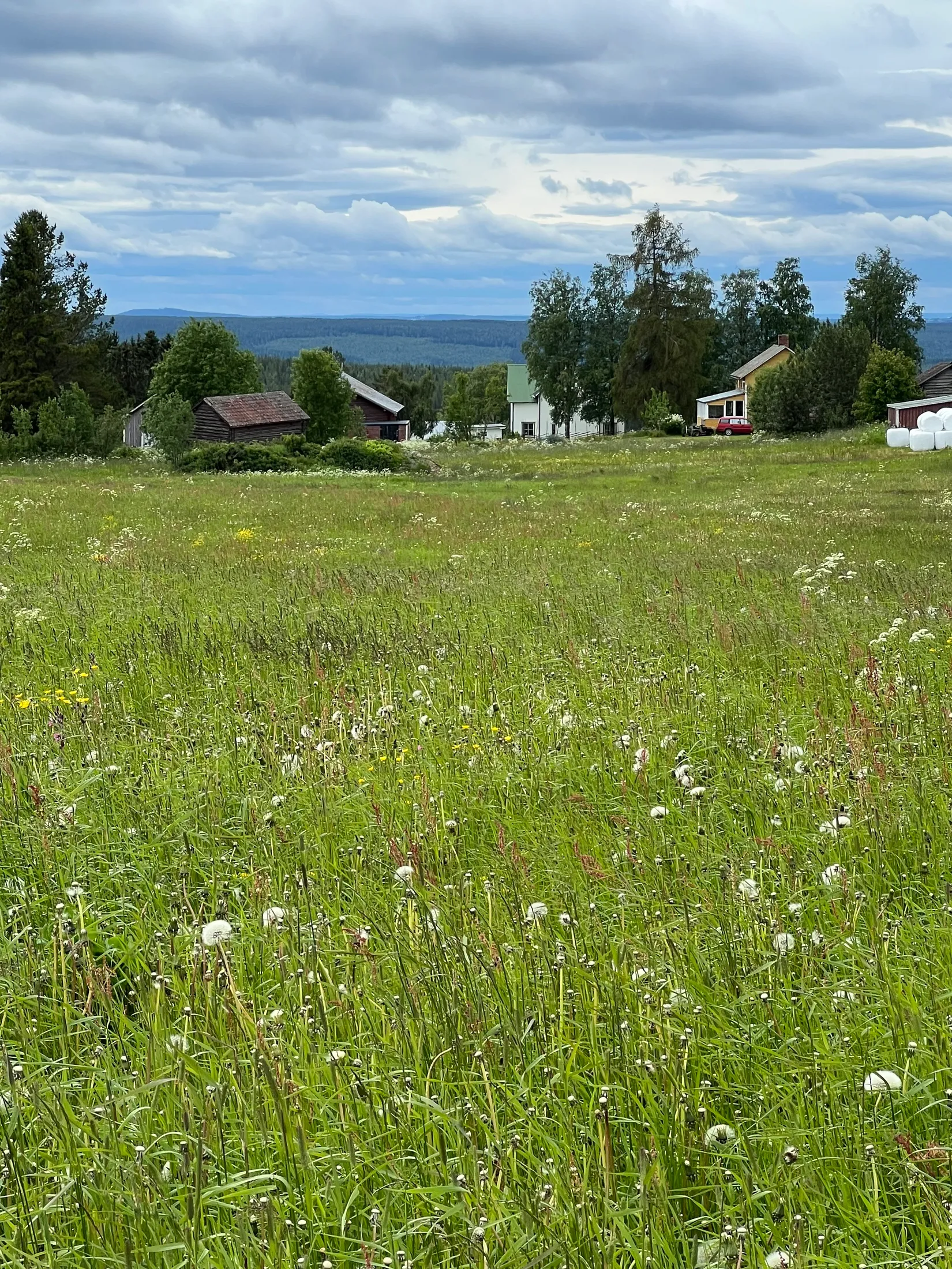 Gård/Skog, Norderåsen 625, Norderåsen, Östersund