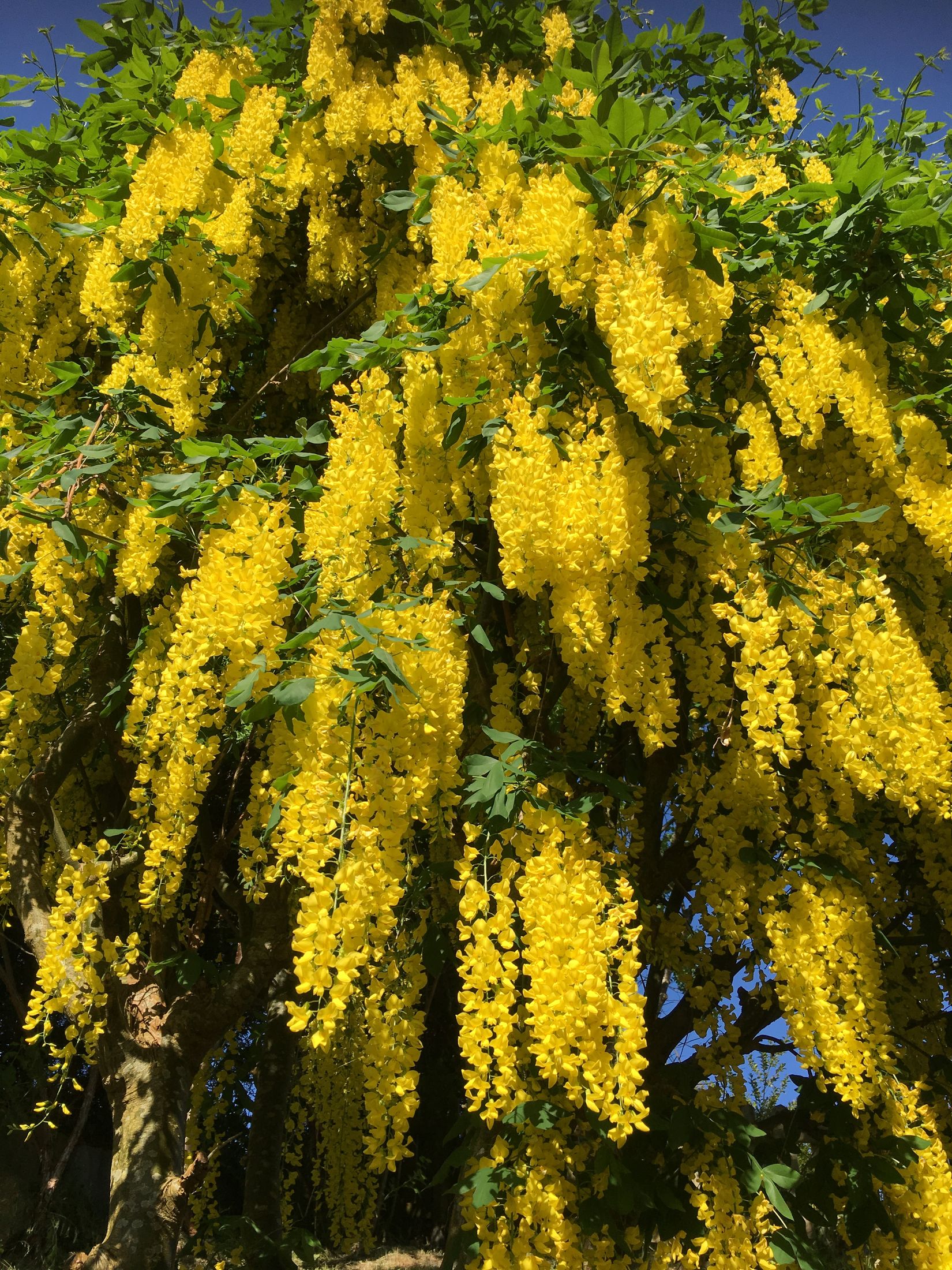 Villa, Näsets vinkelväg 2A, Näset, Göteborg