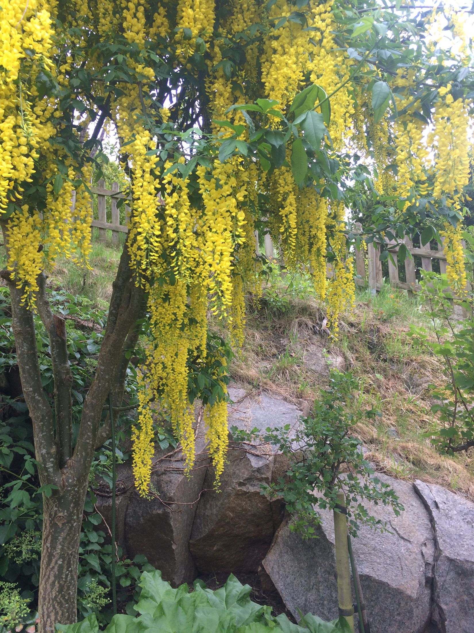 Villa, Näsets vinkelväg 2A, Näset, Göteborg