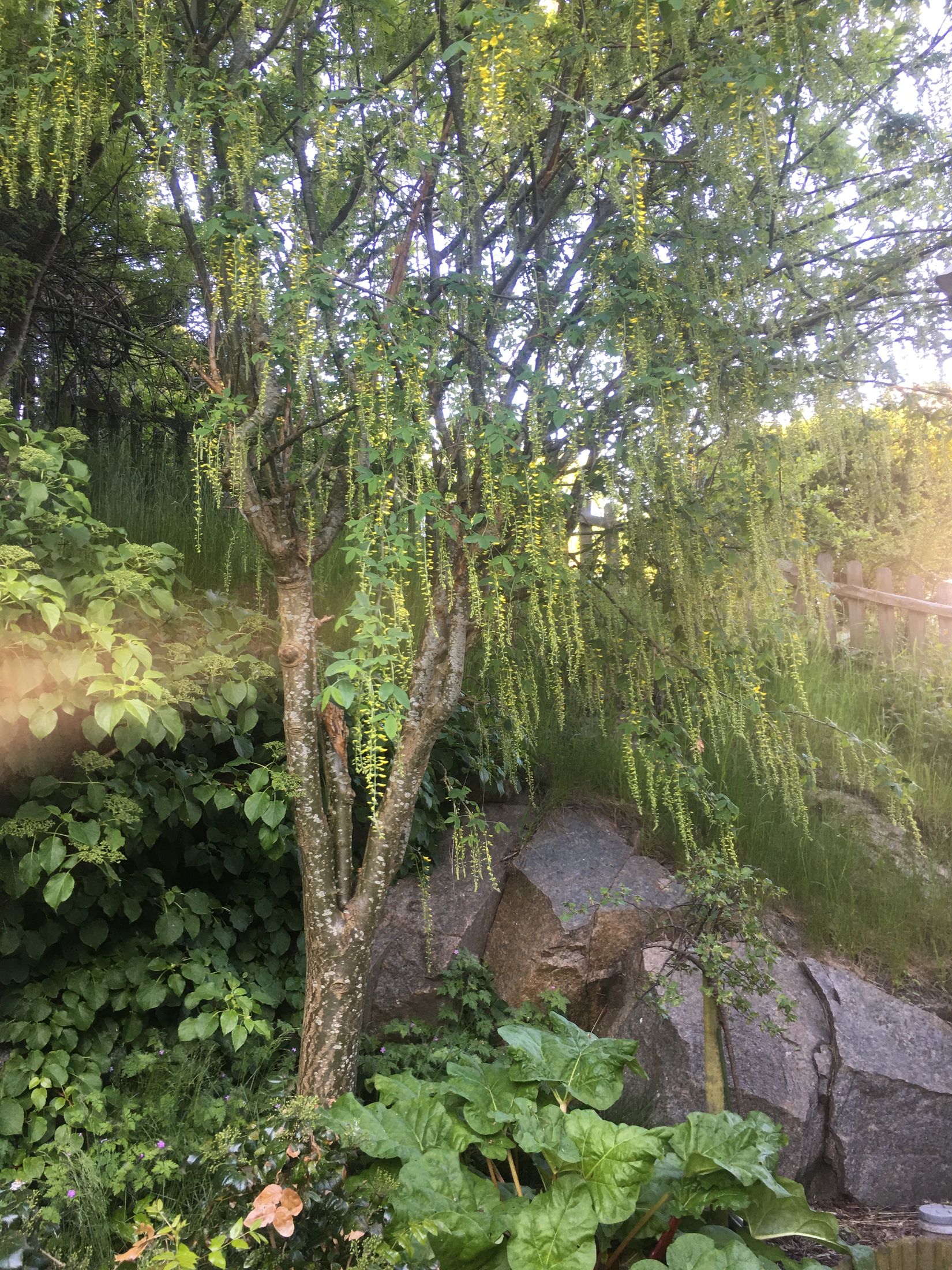 Villa, Näsets vinkelväg 2A, Näset, Göteborg