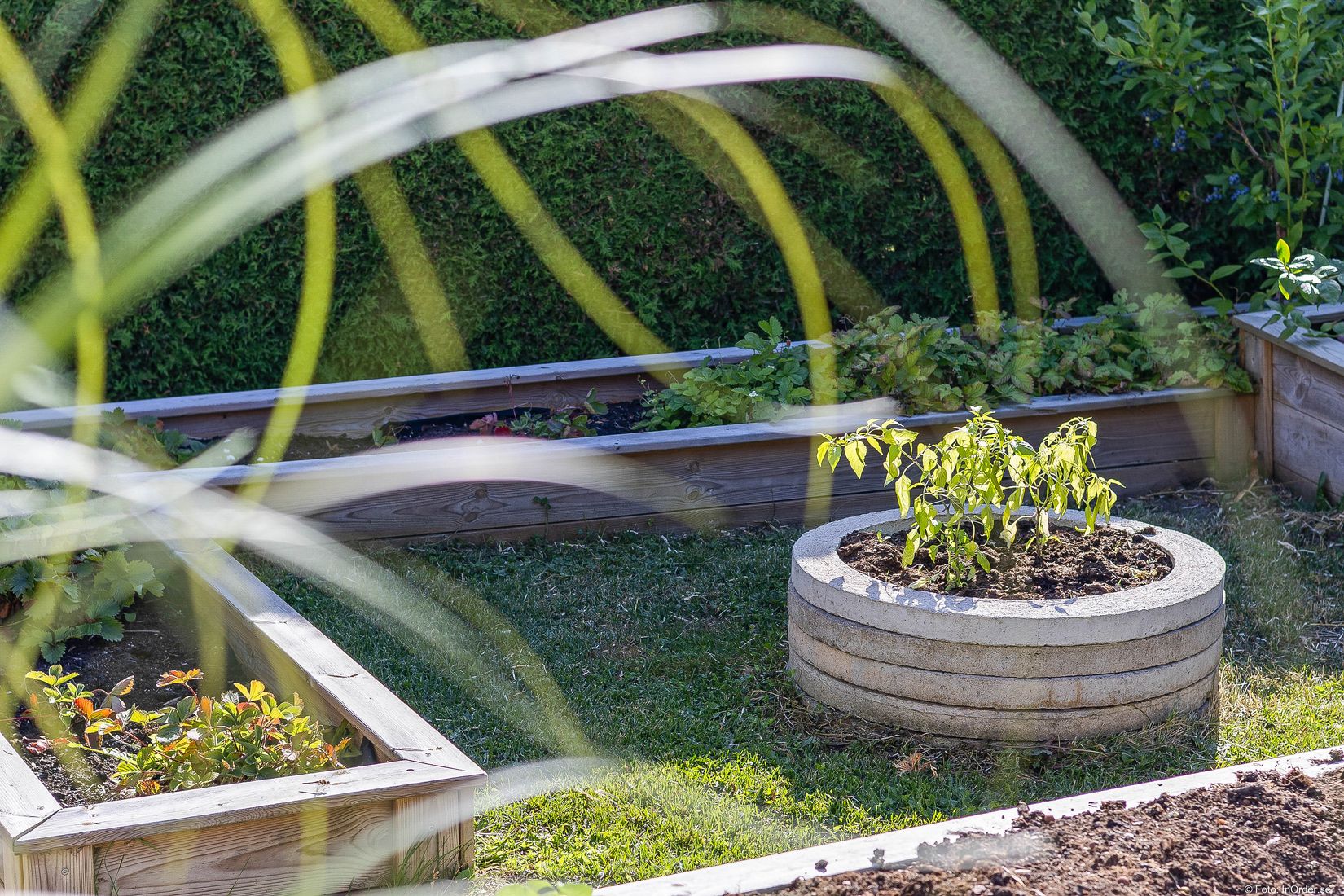 Villa, Schottisgatan 11, Sjöbo Centrum, Sjöbo