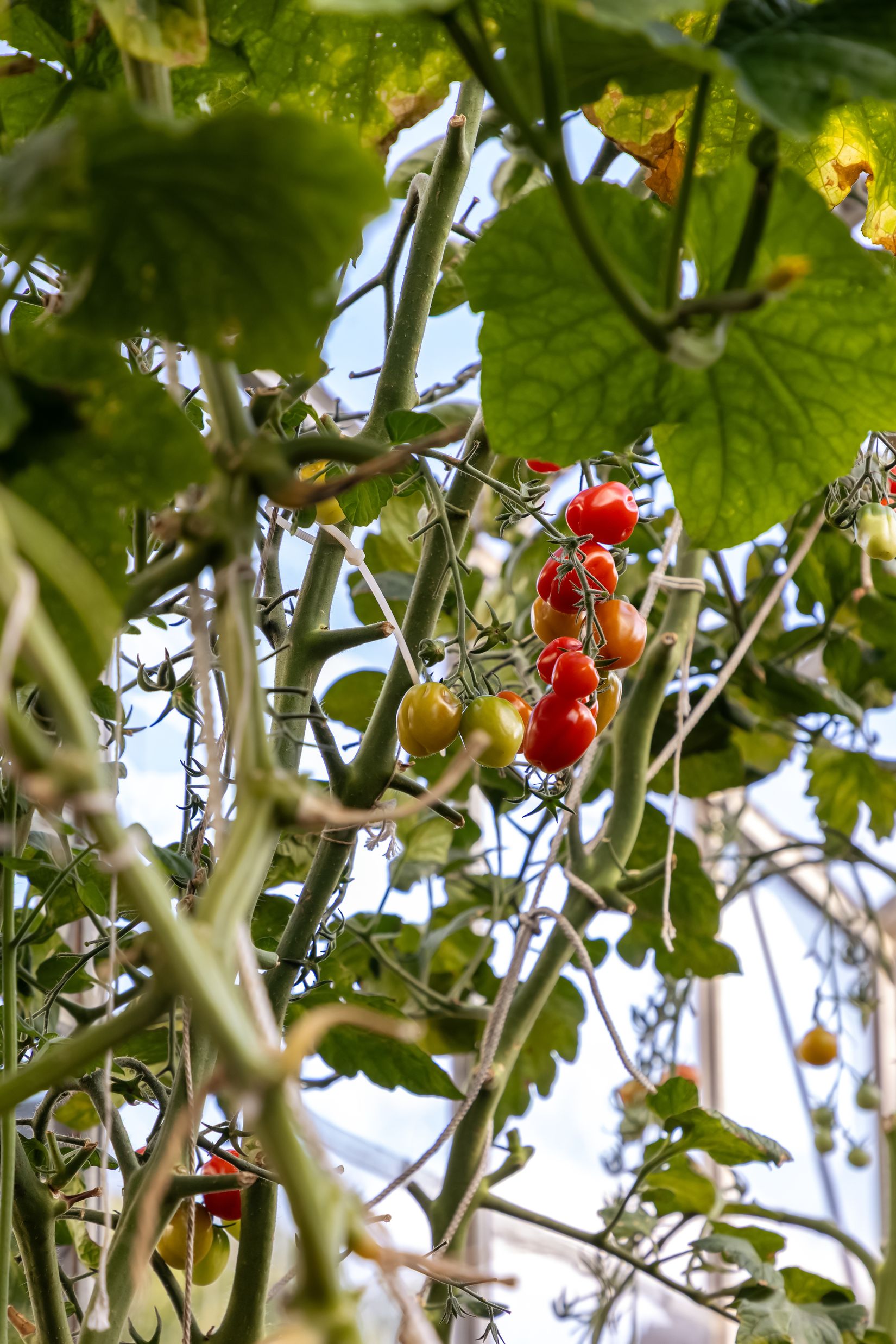 Villa, Kärrsmossegatan 36, Centrala Hisingen - Tolered, Göteborg