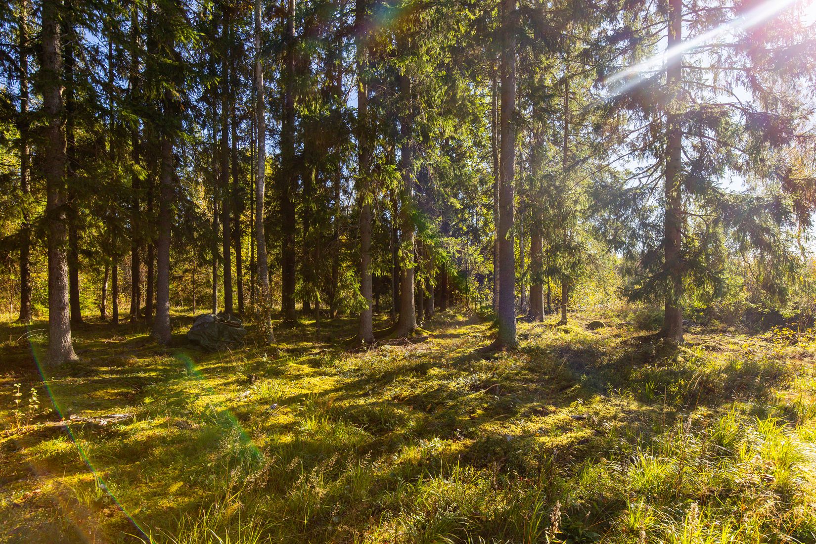 Fritidshus, Kväggen fritid 14, Kväggen, Storfors