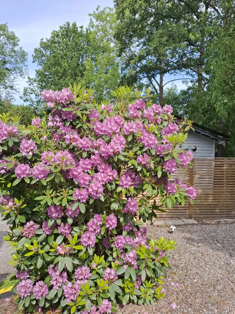 Fritidshus, Klevavägen 34, Höviksnäs, Tjörn