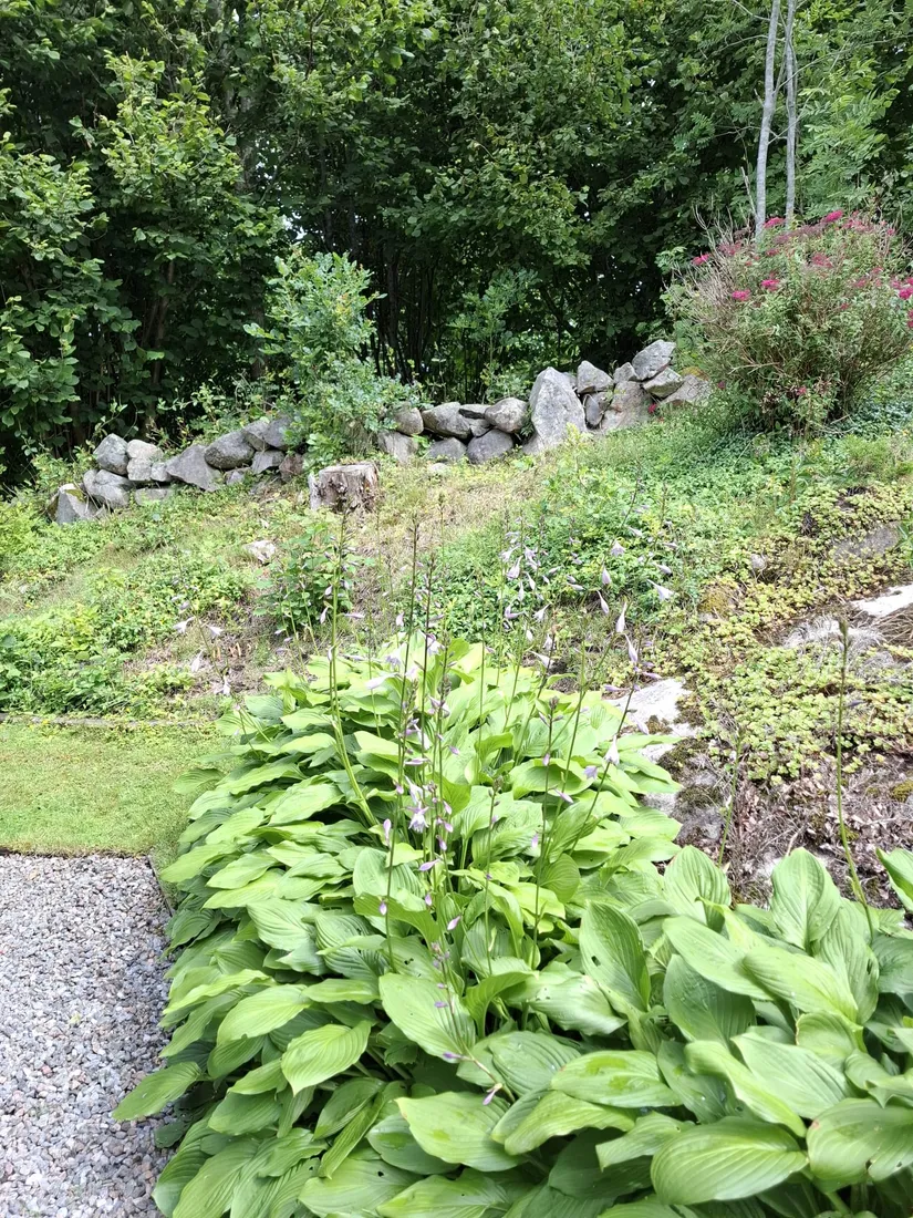 Fritidshus, Klevavägen 34, Höviksnäs, Tjörn