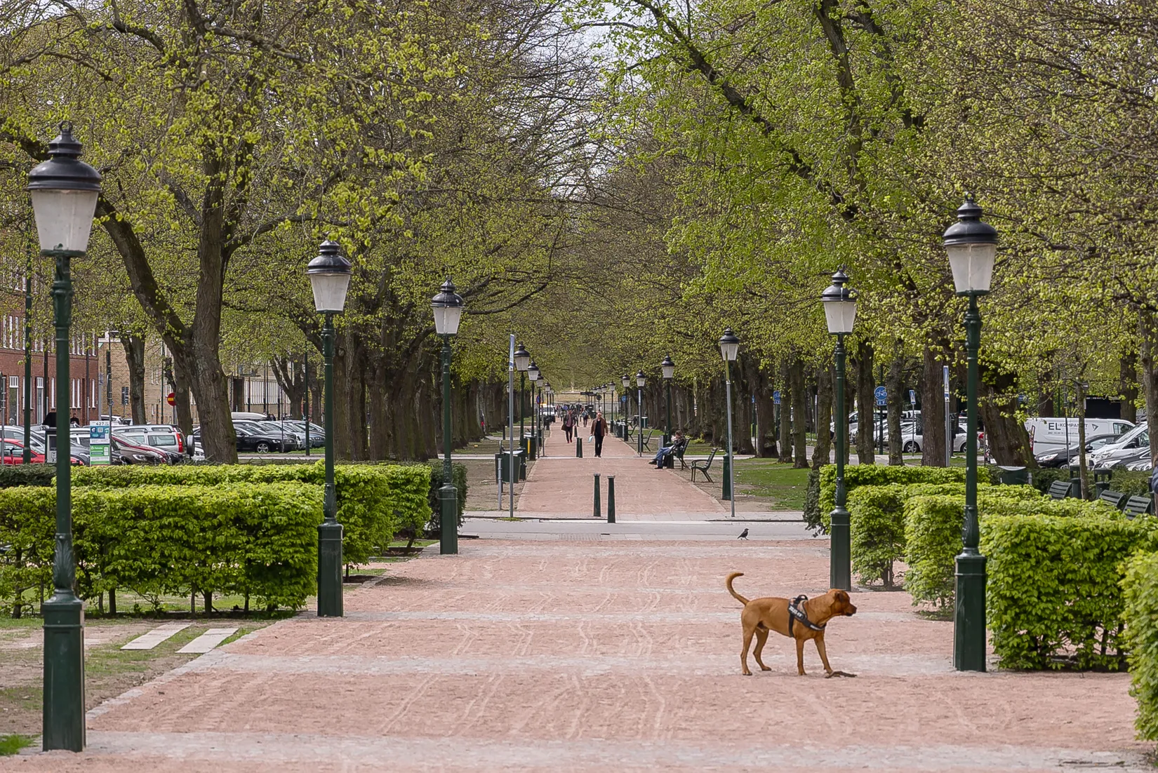 Bostadsrätt, Nobelvägen 88, Värnhem, Malmö