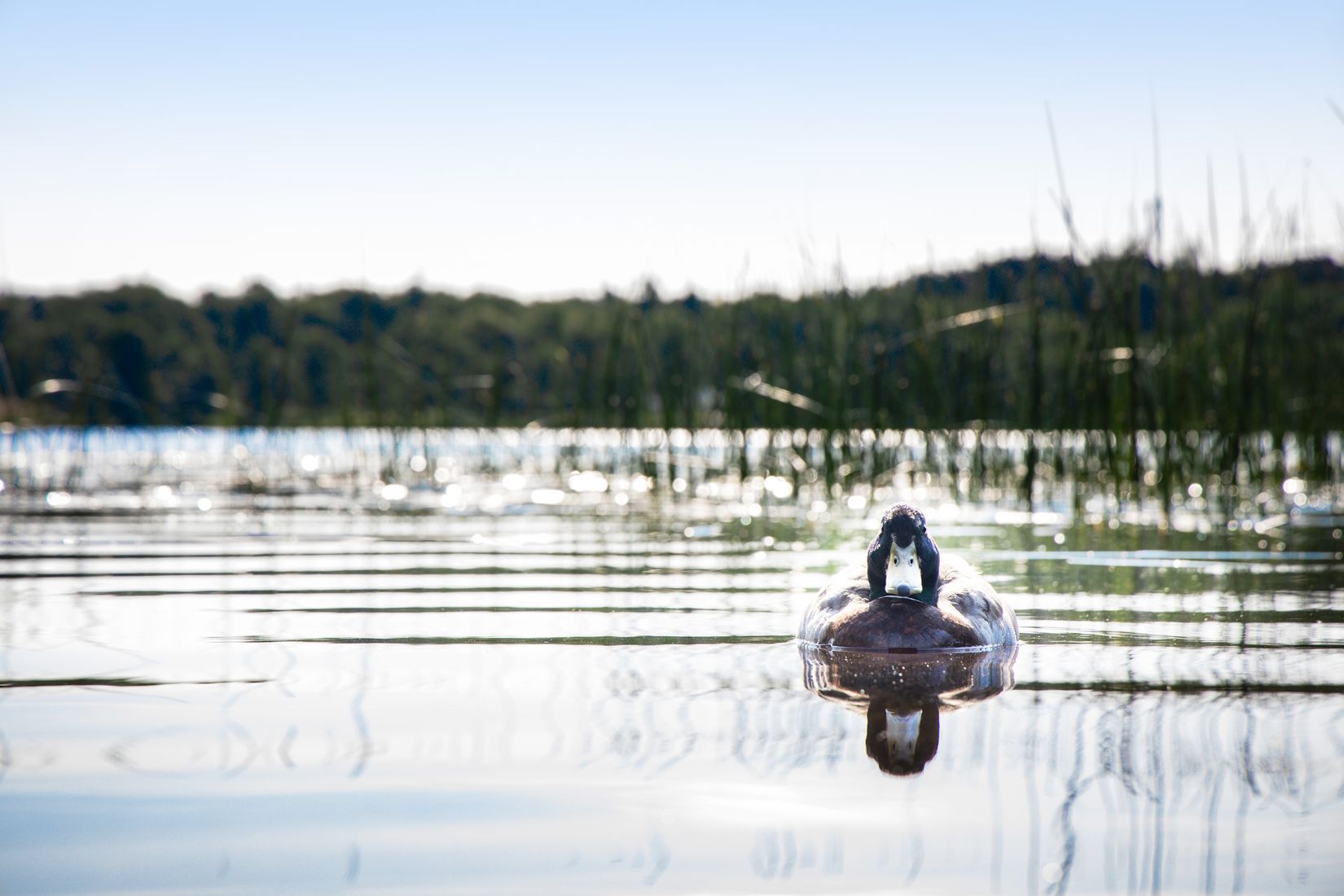 Villa, Radhus, Skogsbovägen 29, Kållered - Skogsbo, Mölndal