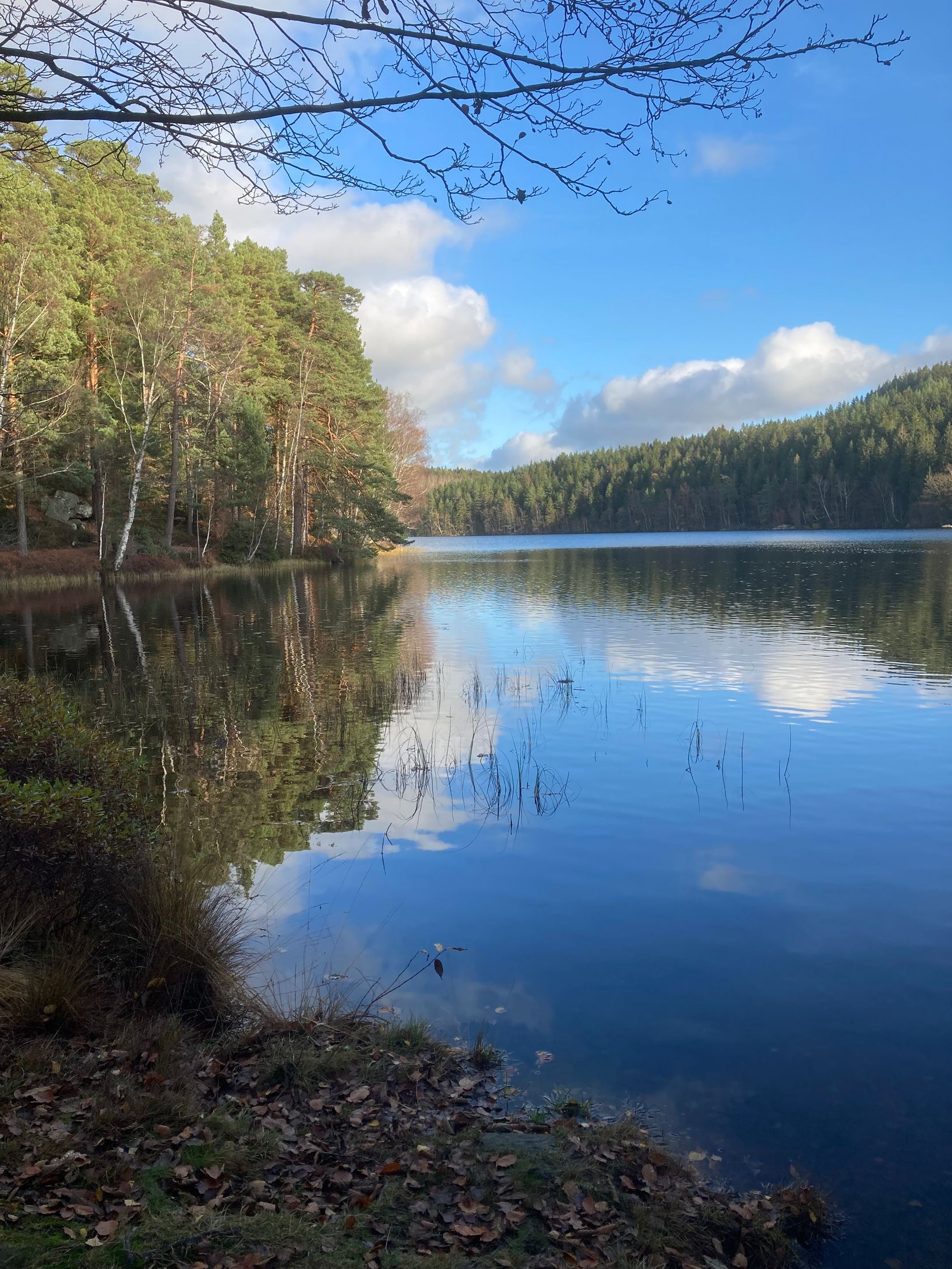 Villa, Radhus, Eklövsvägen 257, Lerum - Almekärr, Lerum