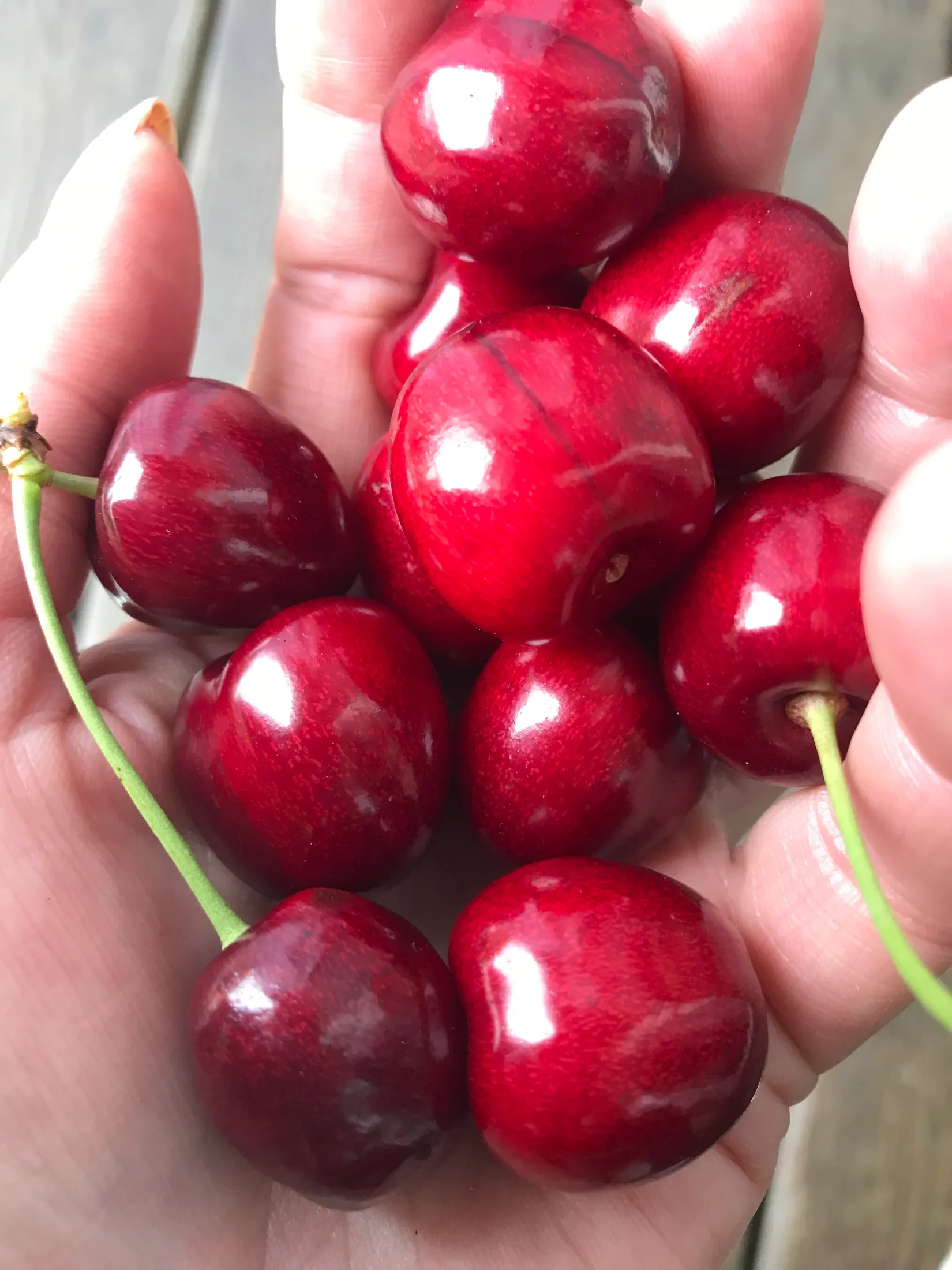 Villa, Radhus, Eklövsvägen 257, Lerum - Almekärr, Lerum