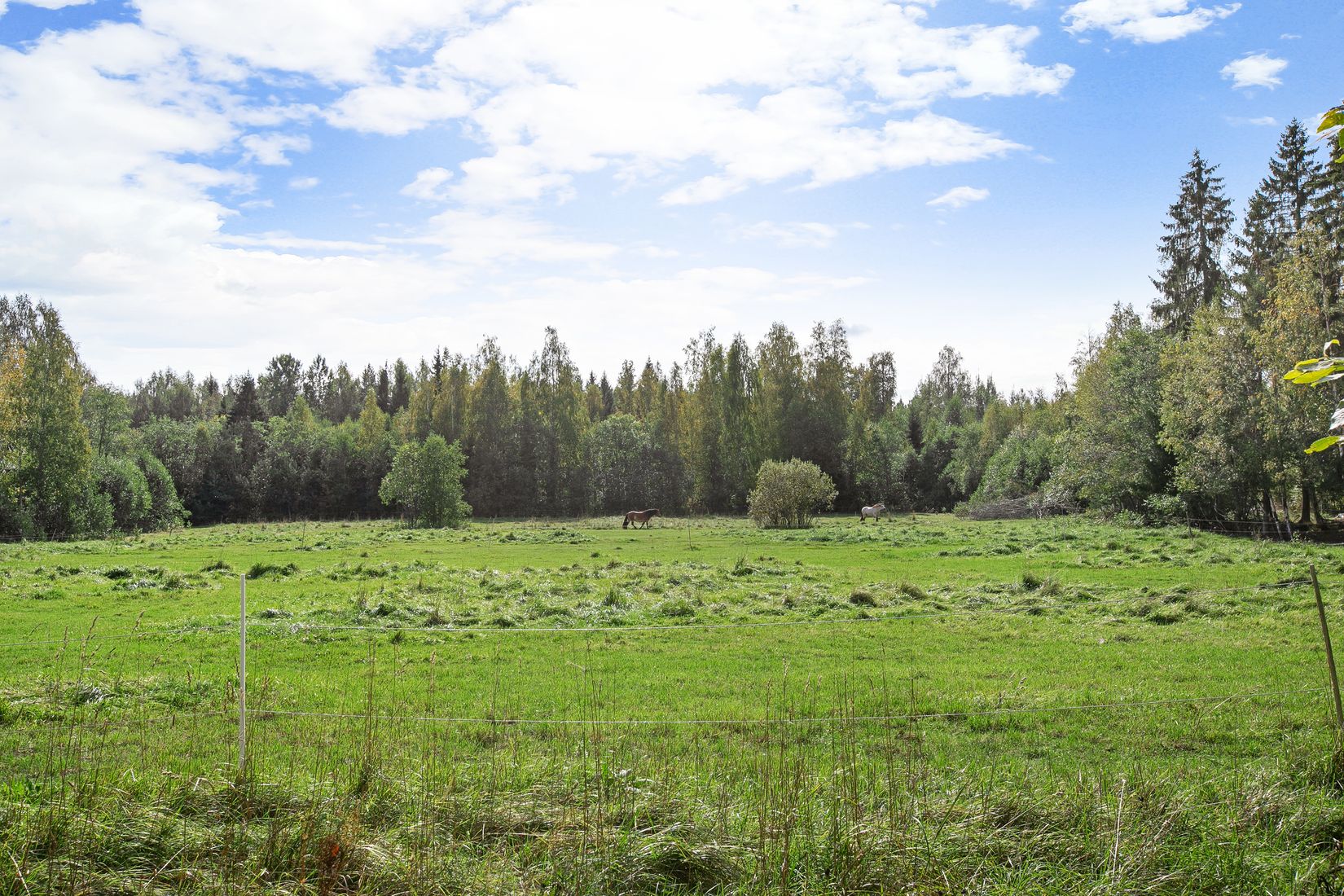 Gård/Skog, Gavelstigen 100, Sandviken