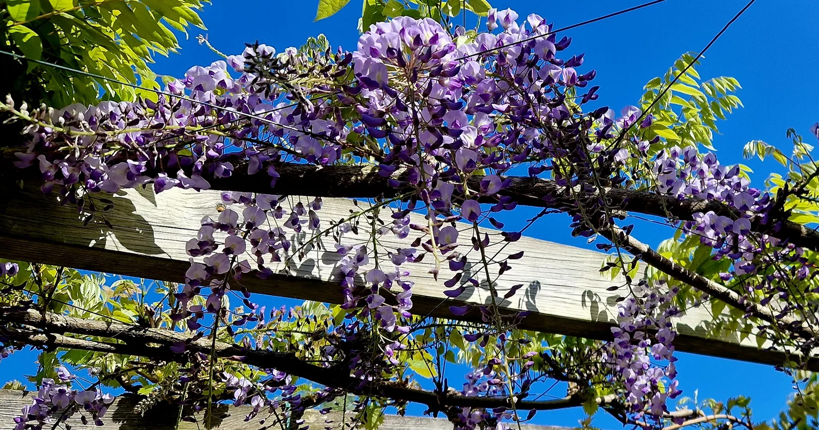 Villa, Danielslundsgatan 58, Haradal, Ängelholm