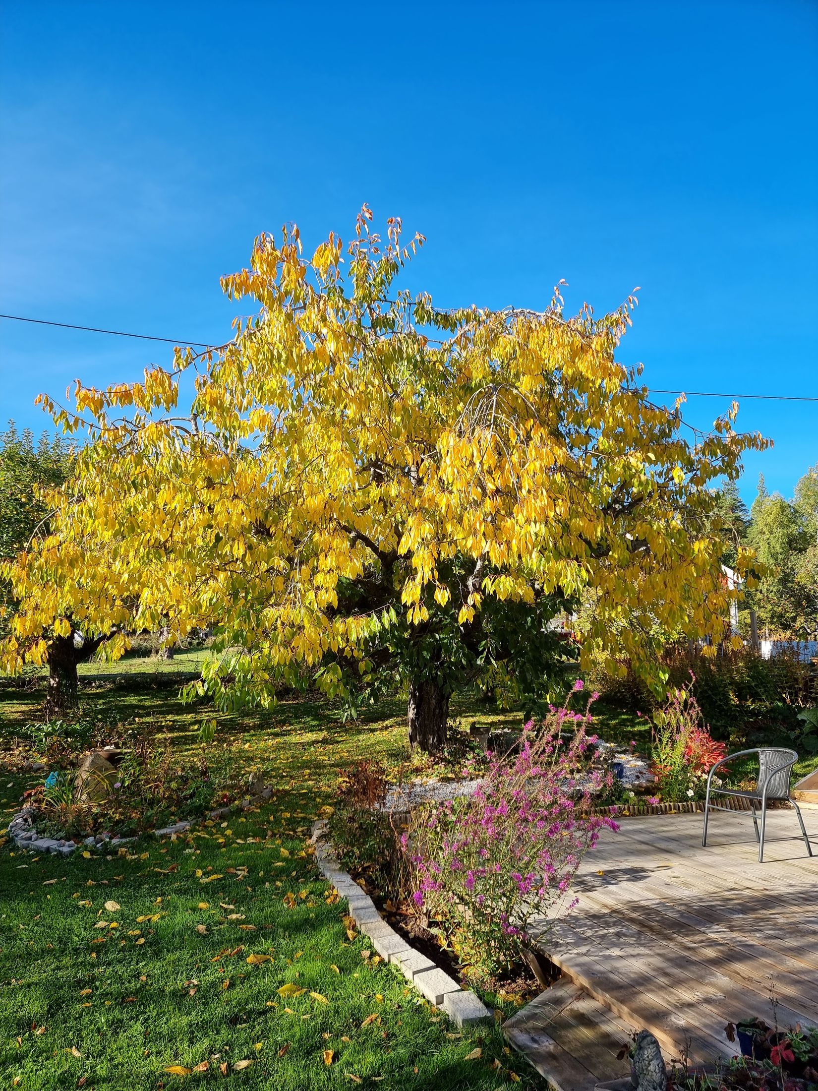 Villa, Hagtorpsvägen 14, Grundby, Eskilstuna