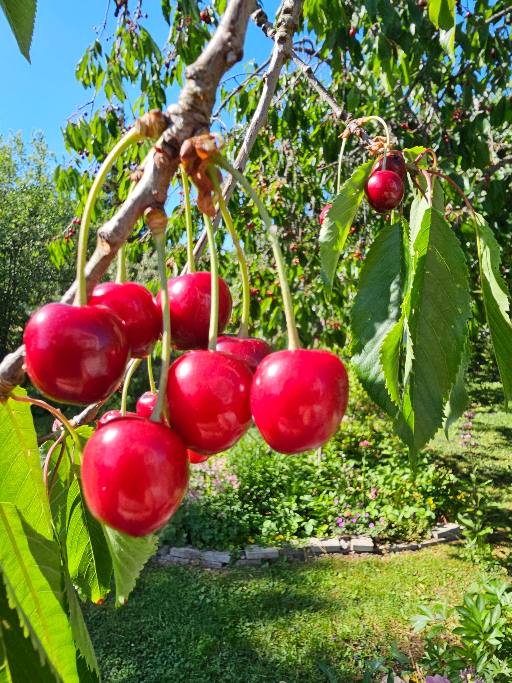 Villa, Hagtorpsvägen 14, Grundby, Eskilstuna