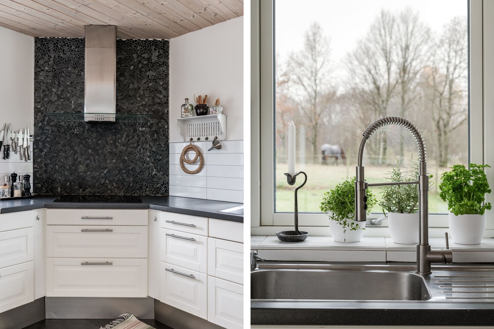 Gård/Skog, Östra Nyrup 123, Hallaröd, Höör