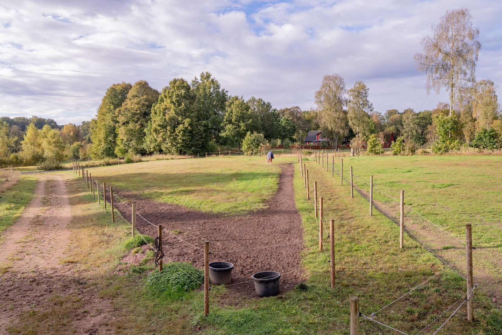 Gård/Skog, Östra Nyrup 123, Hallaröd, Höör