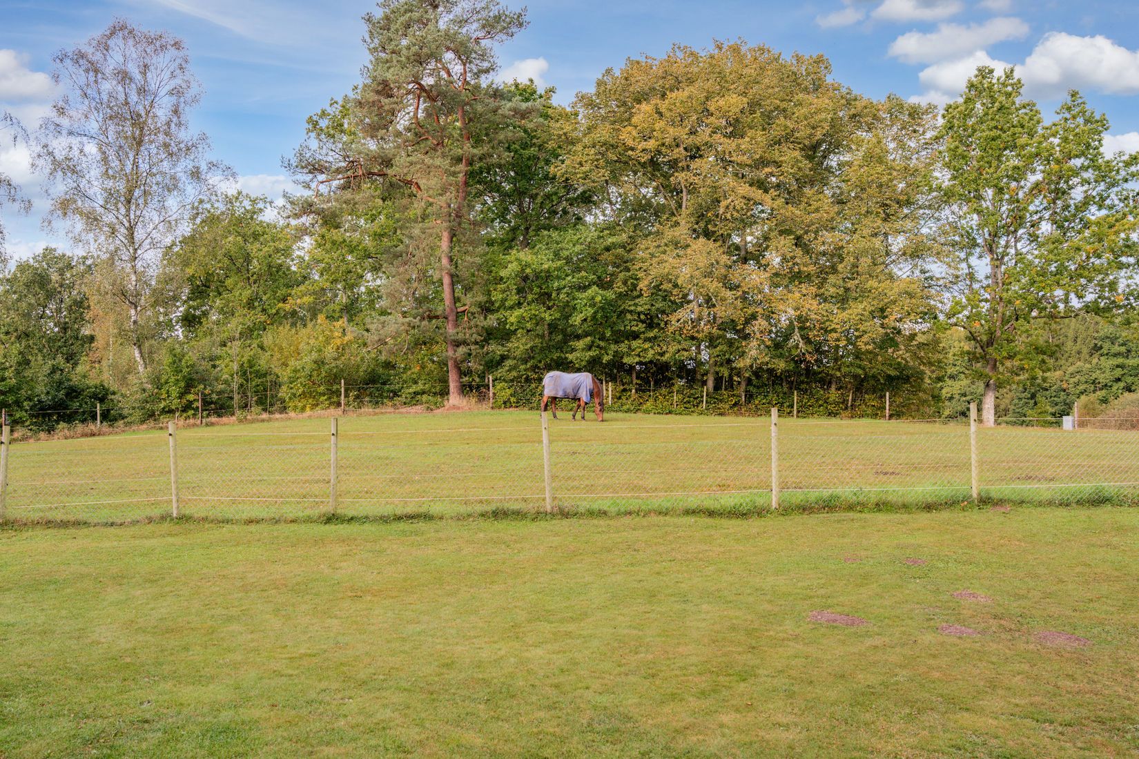 Gård/Skog, Östra Nyrup 123, Hallaröd, Höör