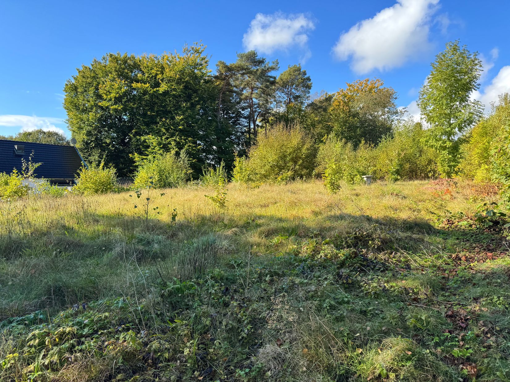 Tomt, Norrelid 29, Örkelljunga