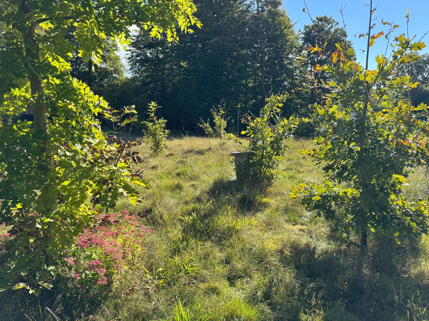 Tomt, Norrelid 29, Örkelljunga