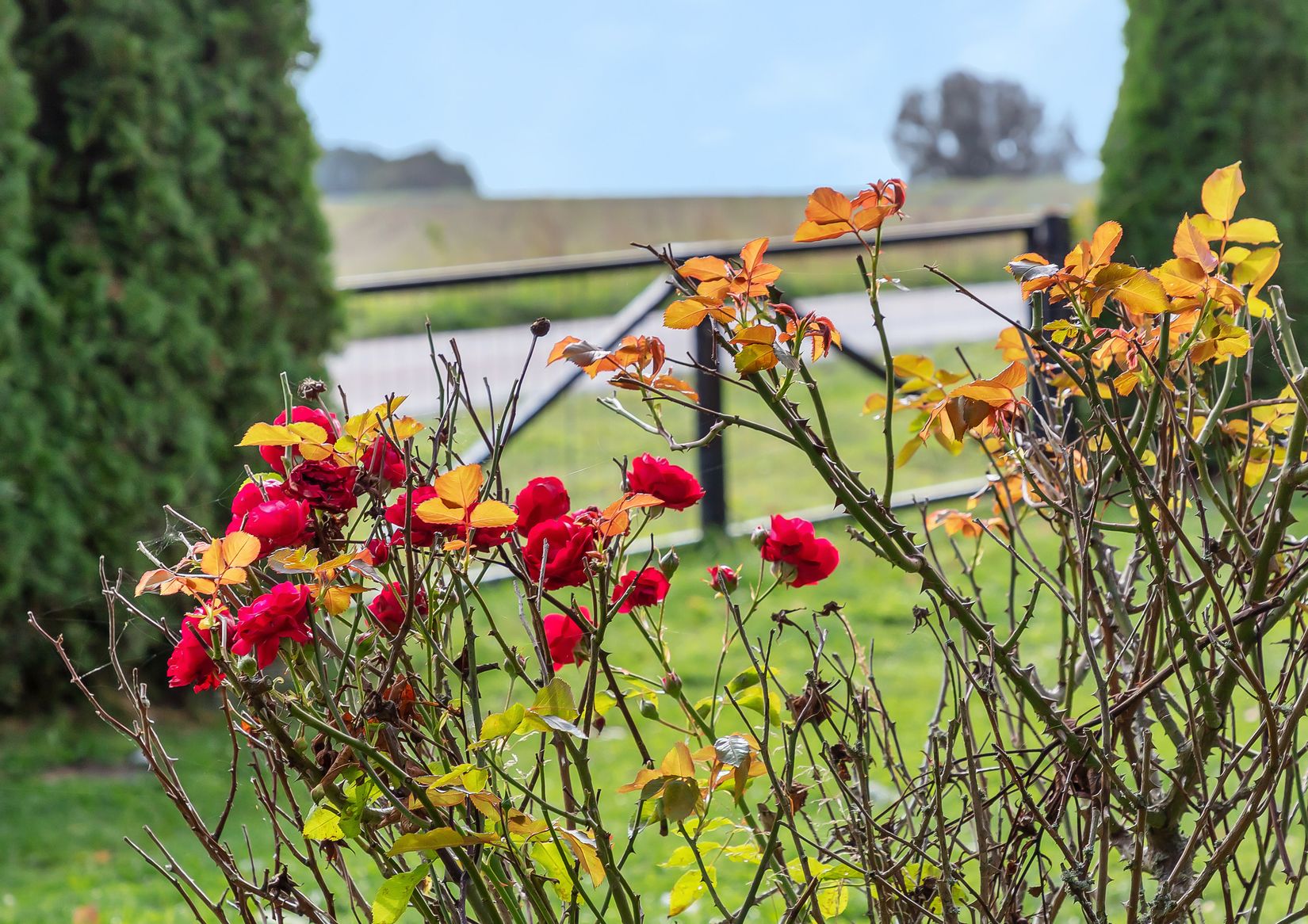 Villa, Otte Marsvins väg 121, Ensligheten, Ystad